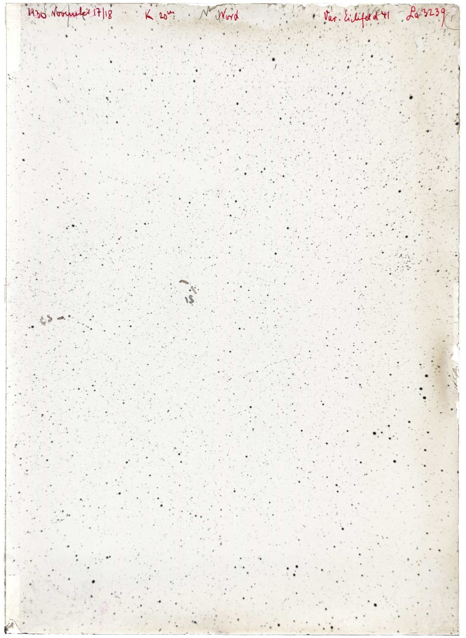 Scan LA03239