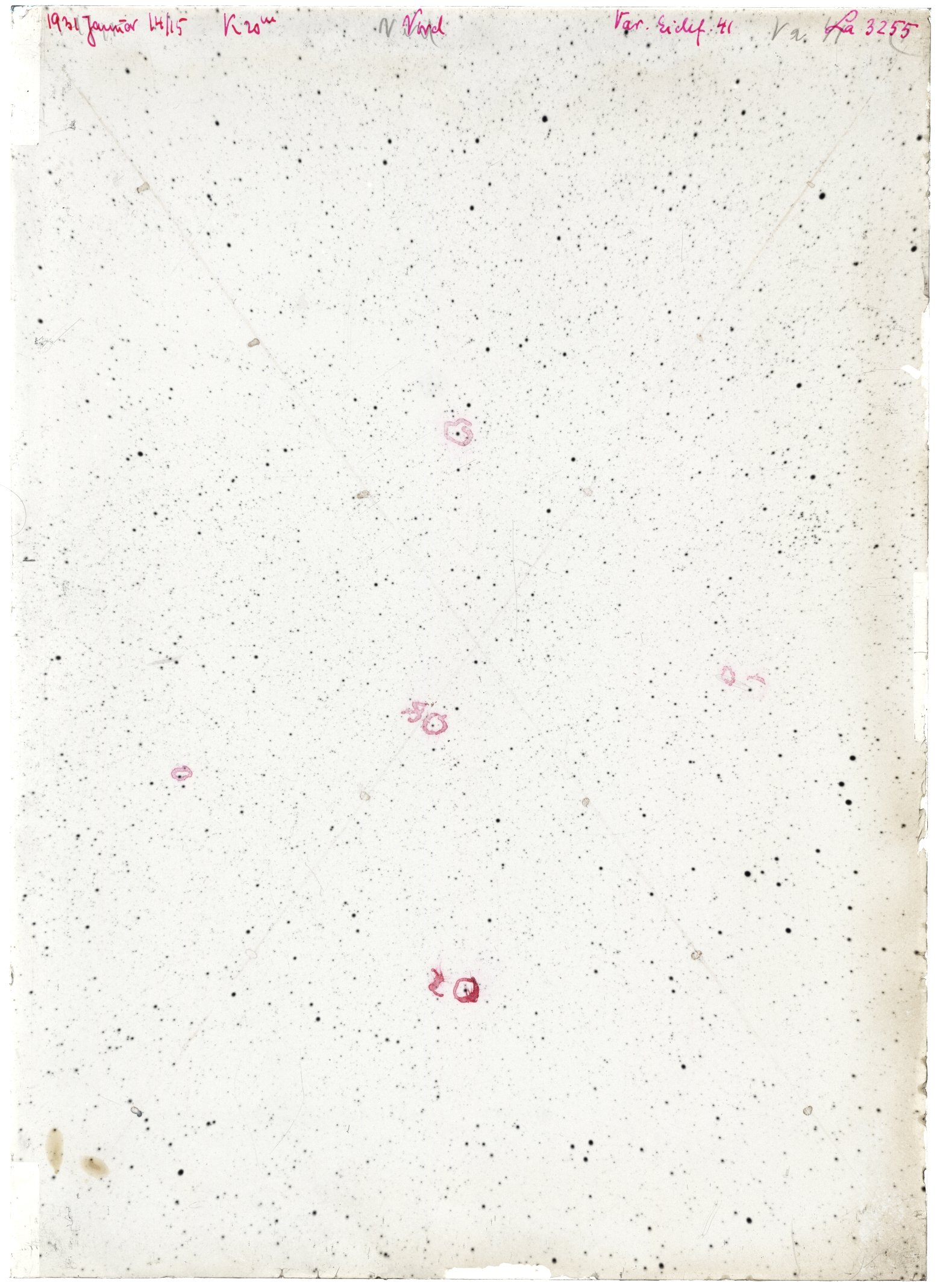 Scan LA03255