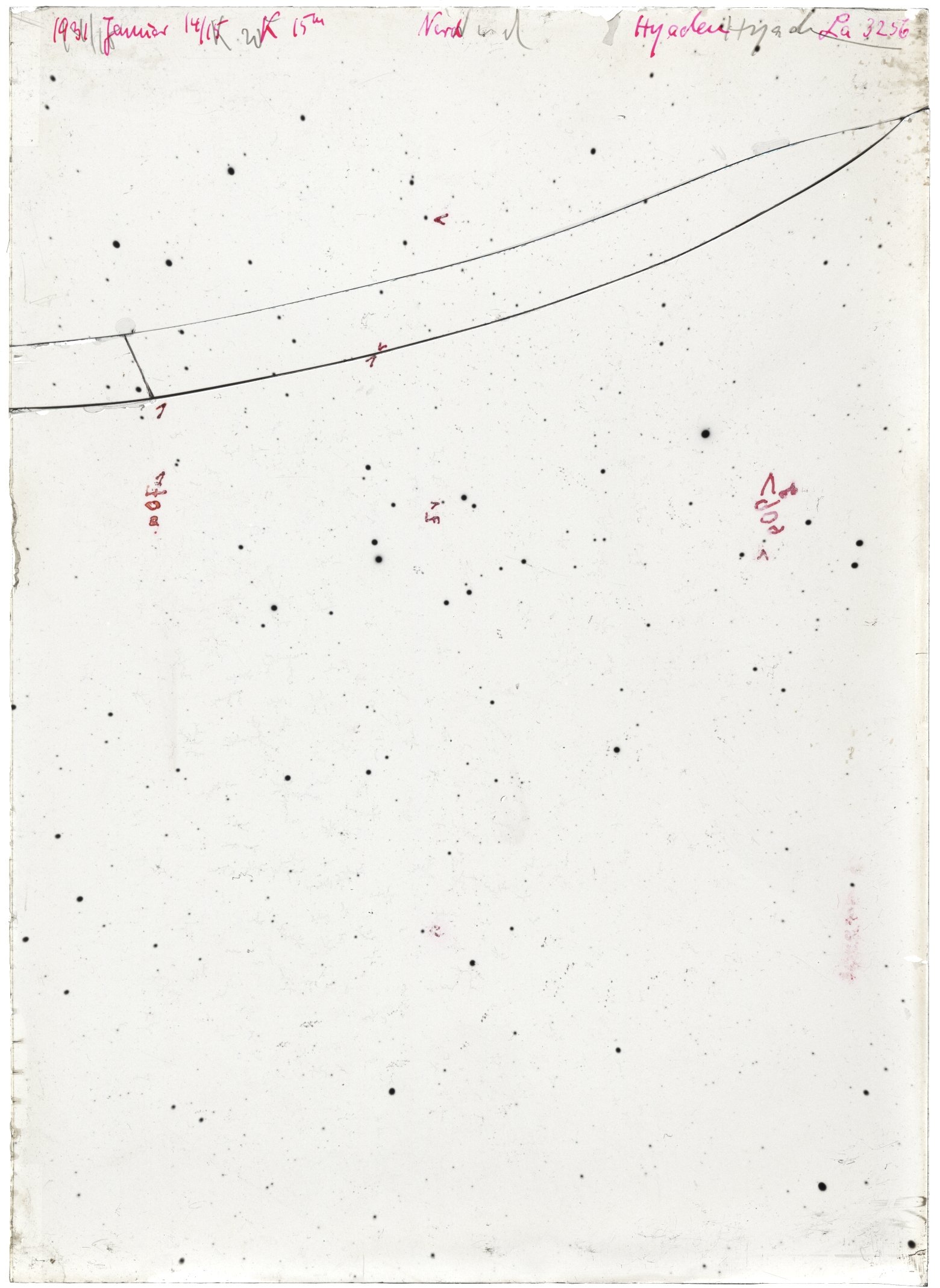 Scan LA03256