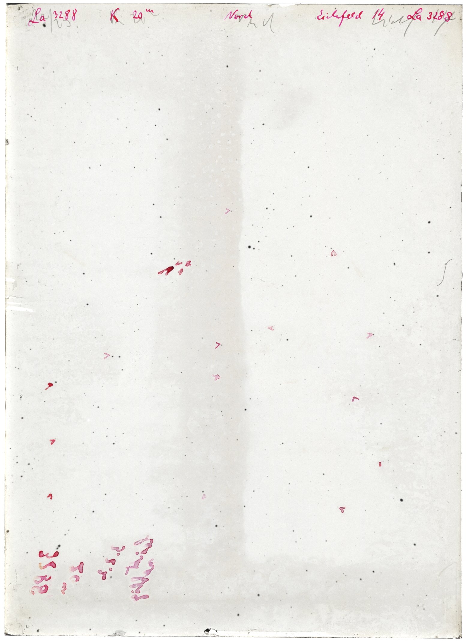 Scan LA03288
