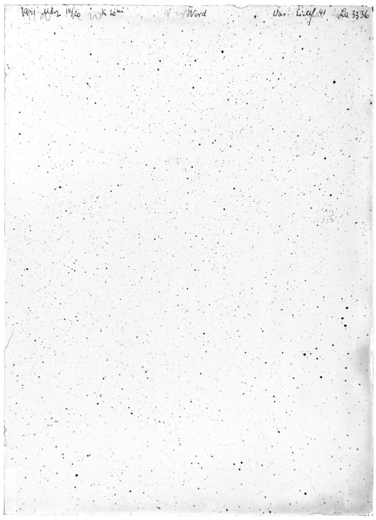 Scan LA03336