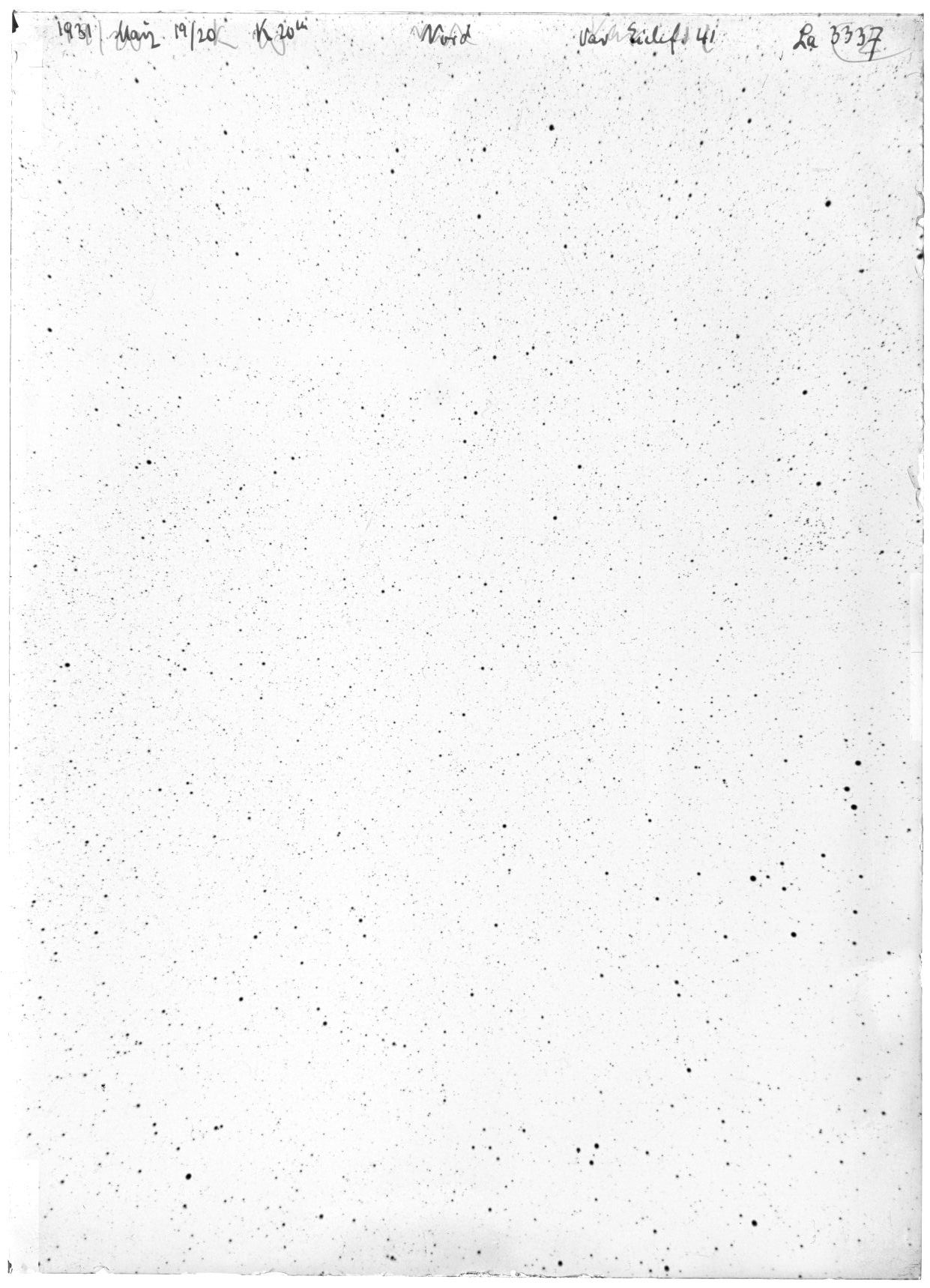 Scan LA03337