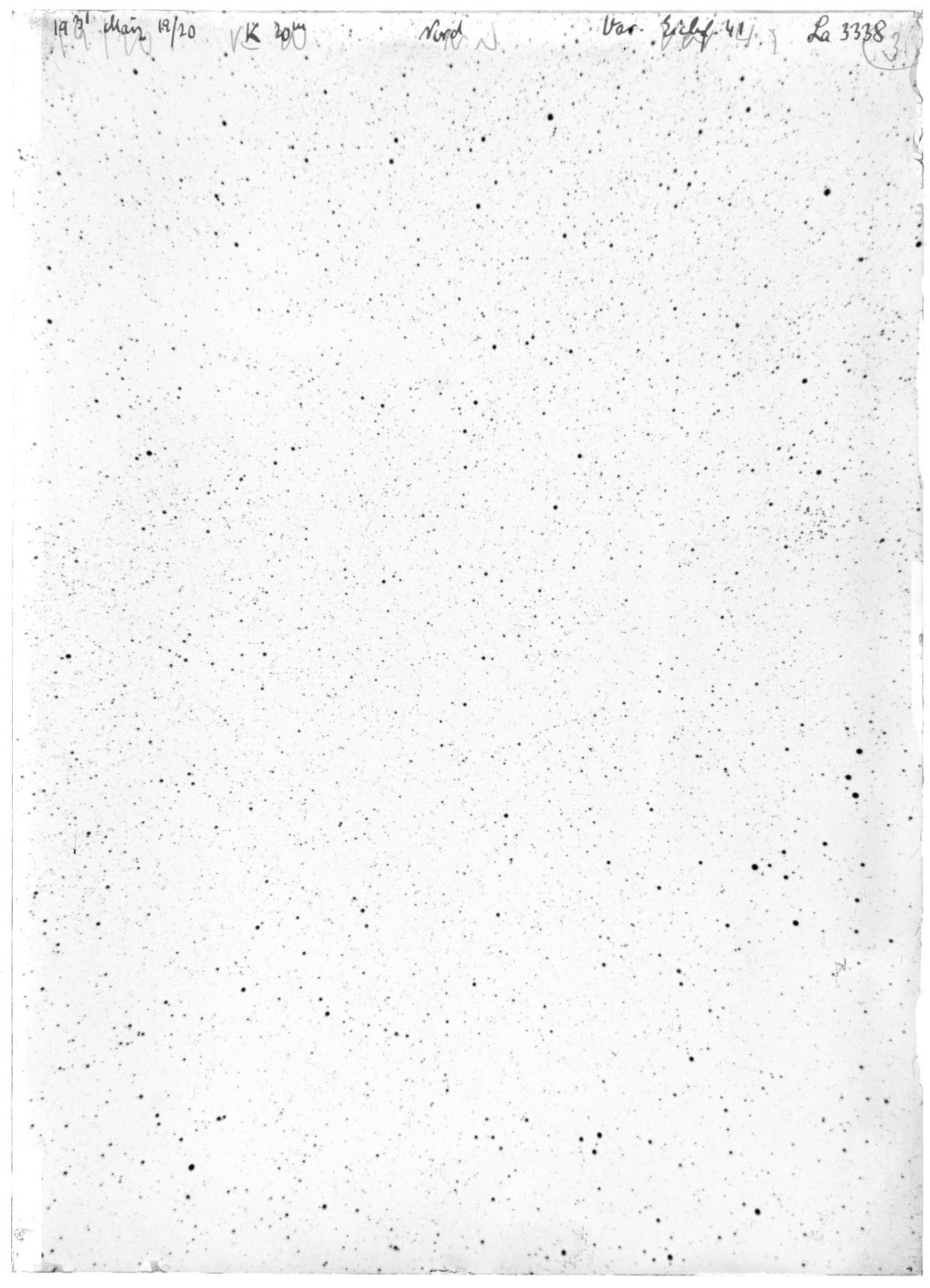 Scan LA03338