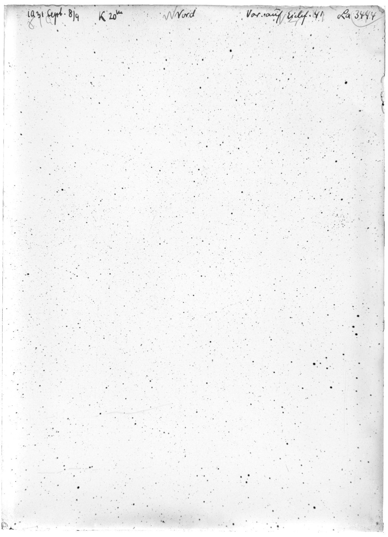 Scan LA03444