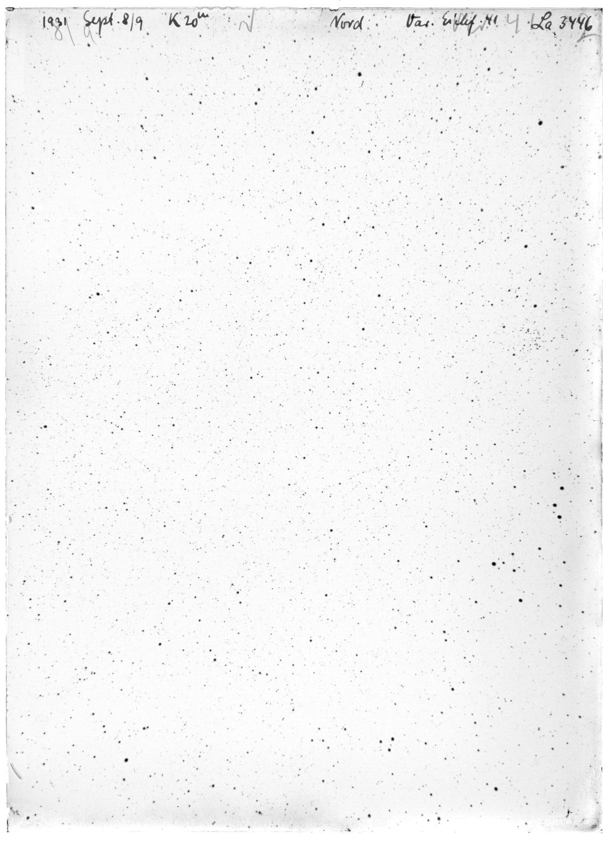 Scan LA03446