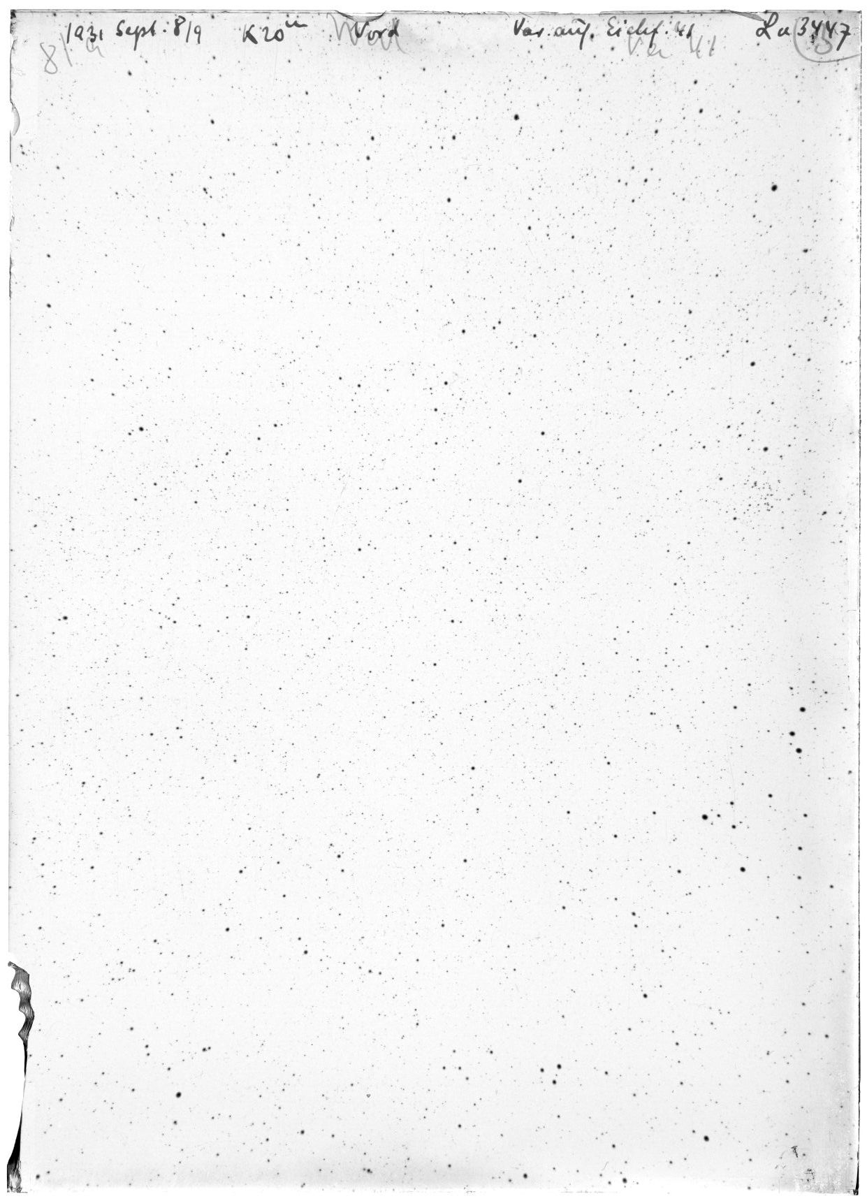 Scan LA03447