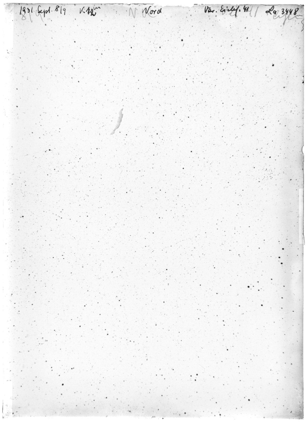Scan LA03448
