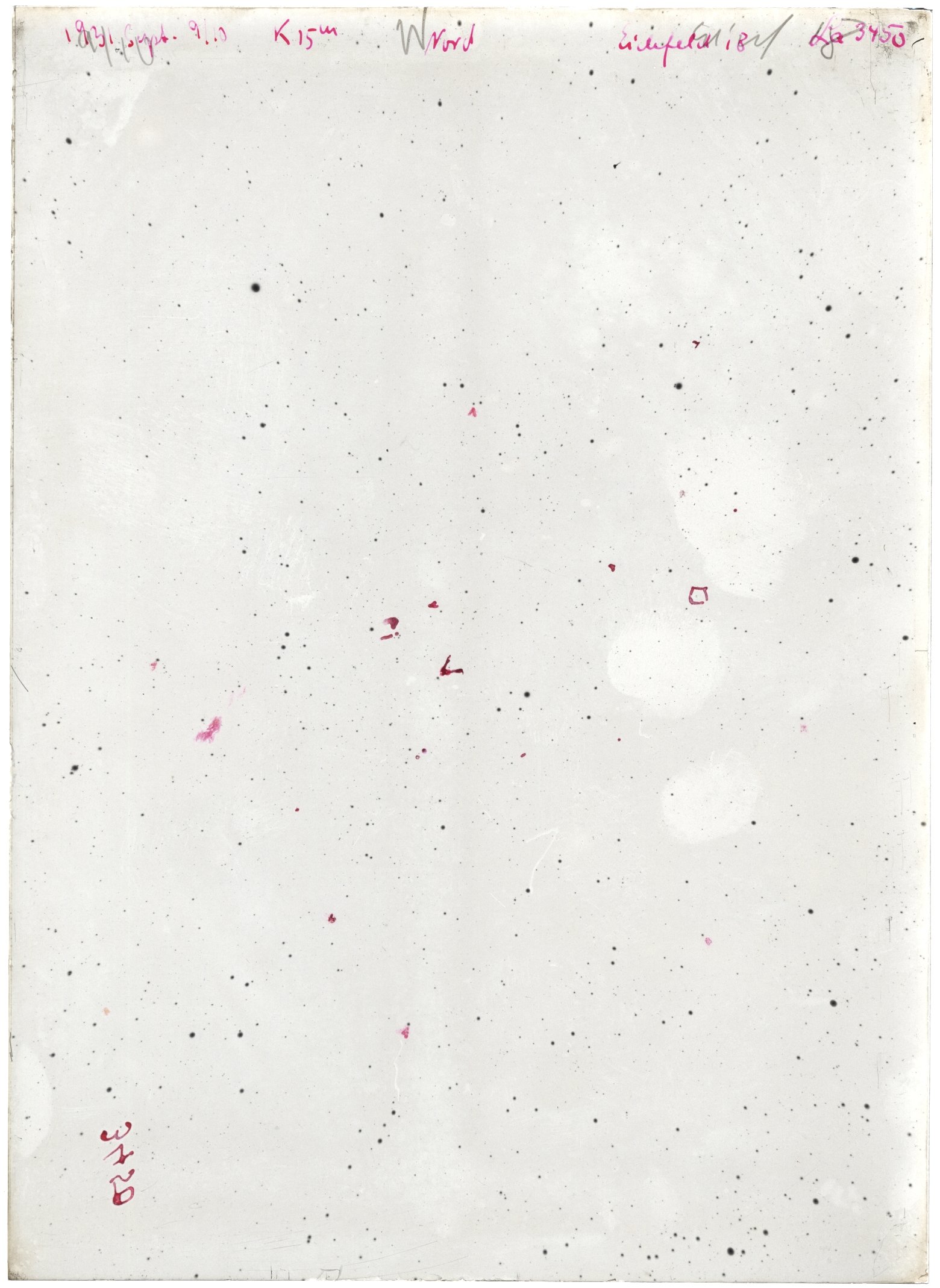 Scan LA03450
