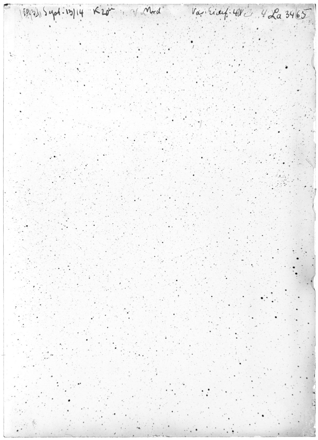Scan LA03465