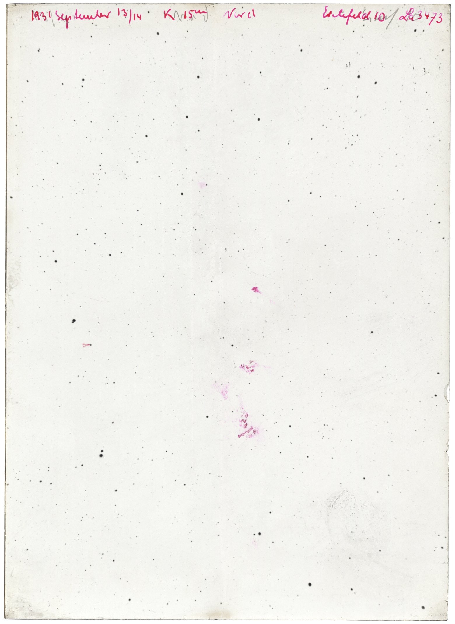 Scan LA03473
