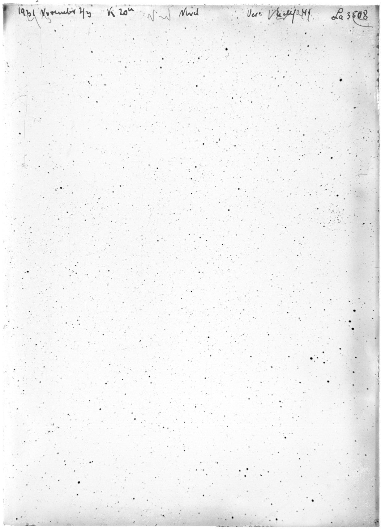 Scan LA03508
