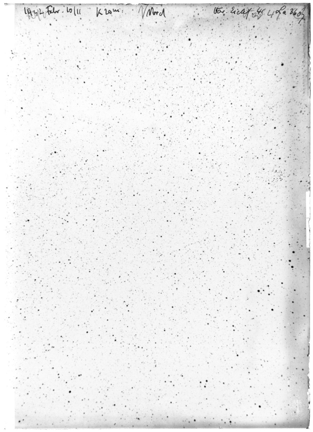 Scan LA03607
