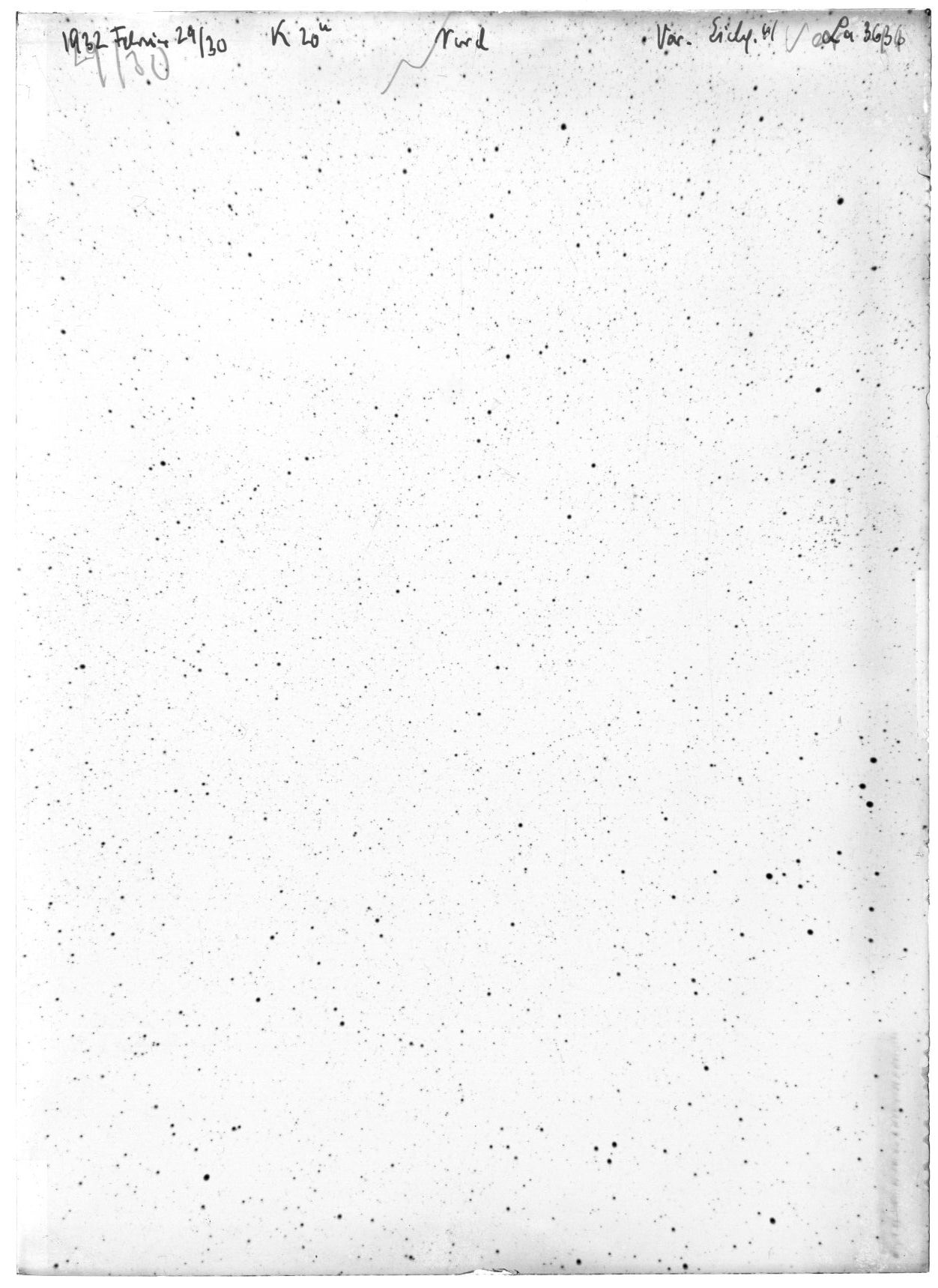 Scan LA03636