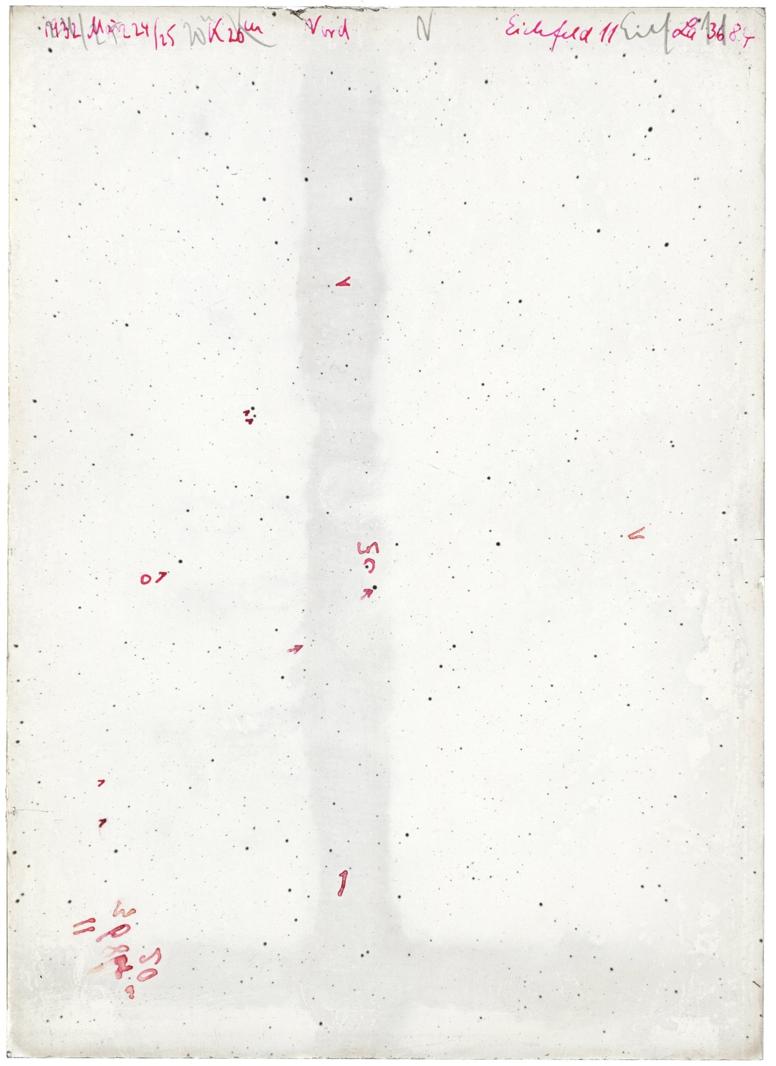 Scan LA03684