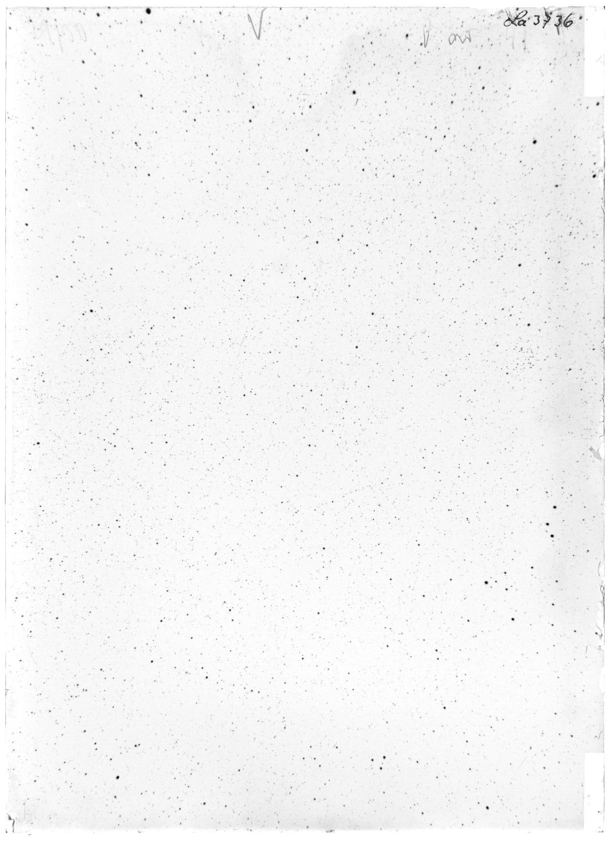 Scan LA03736