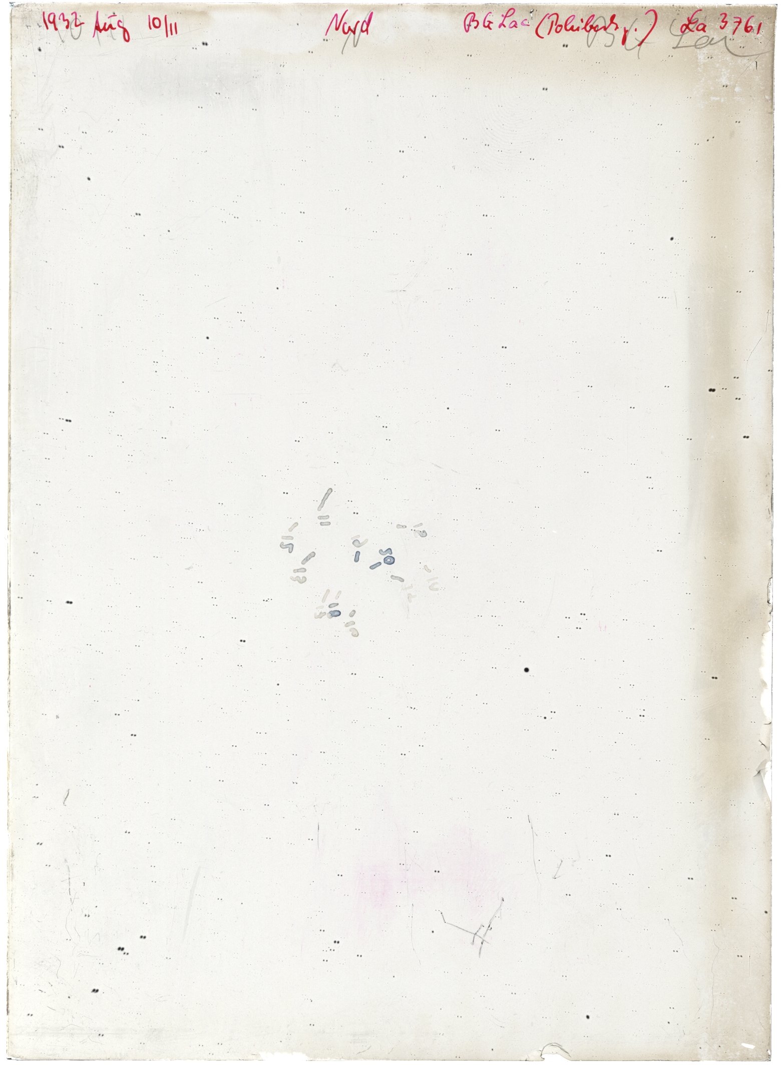 Scan LA03761