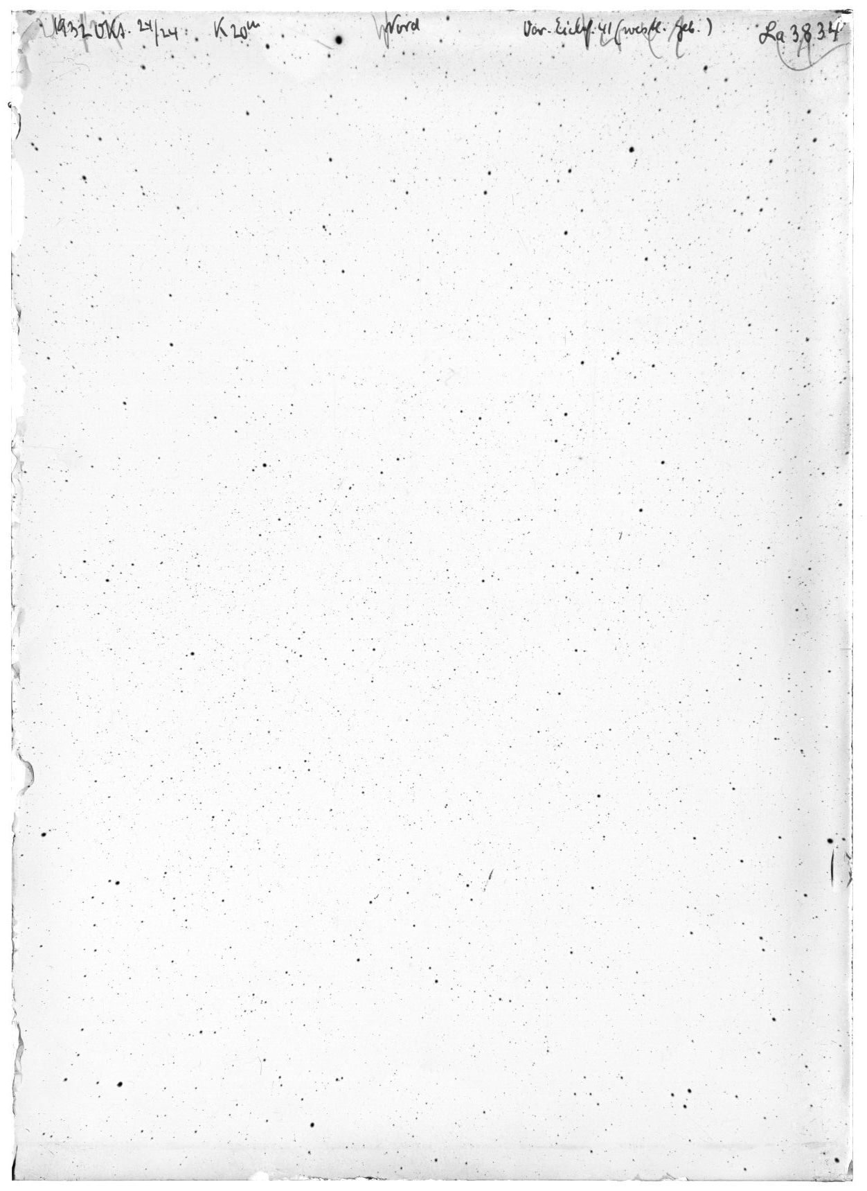 Scan LA03834