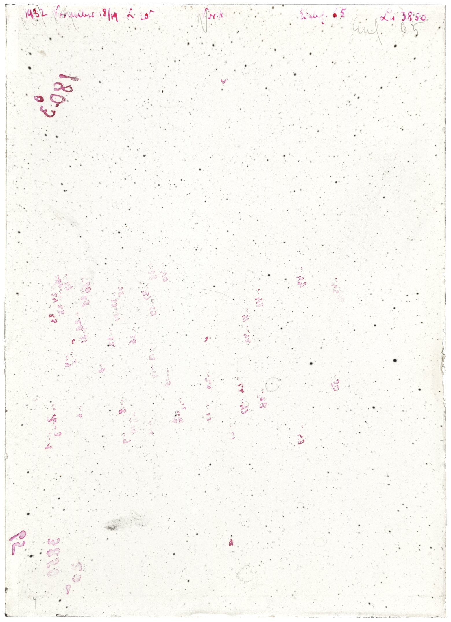 Scan LA03850