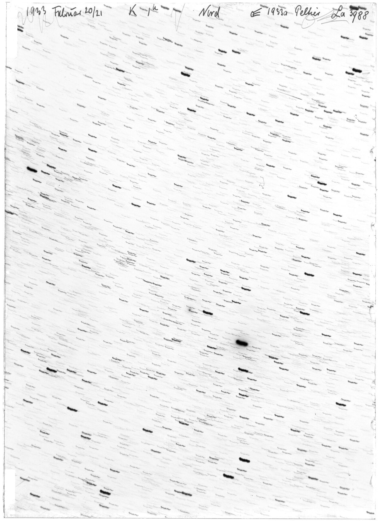 Scan LA03988