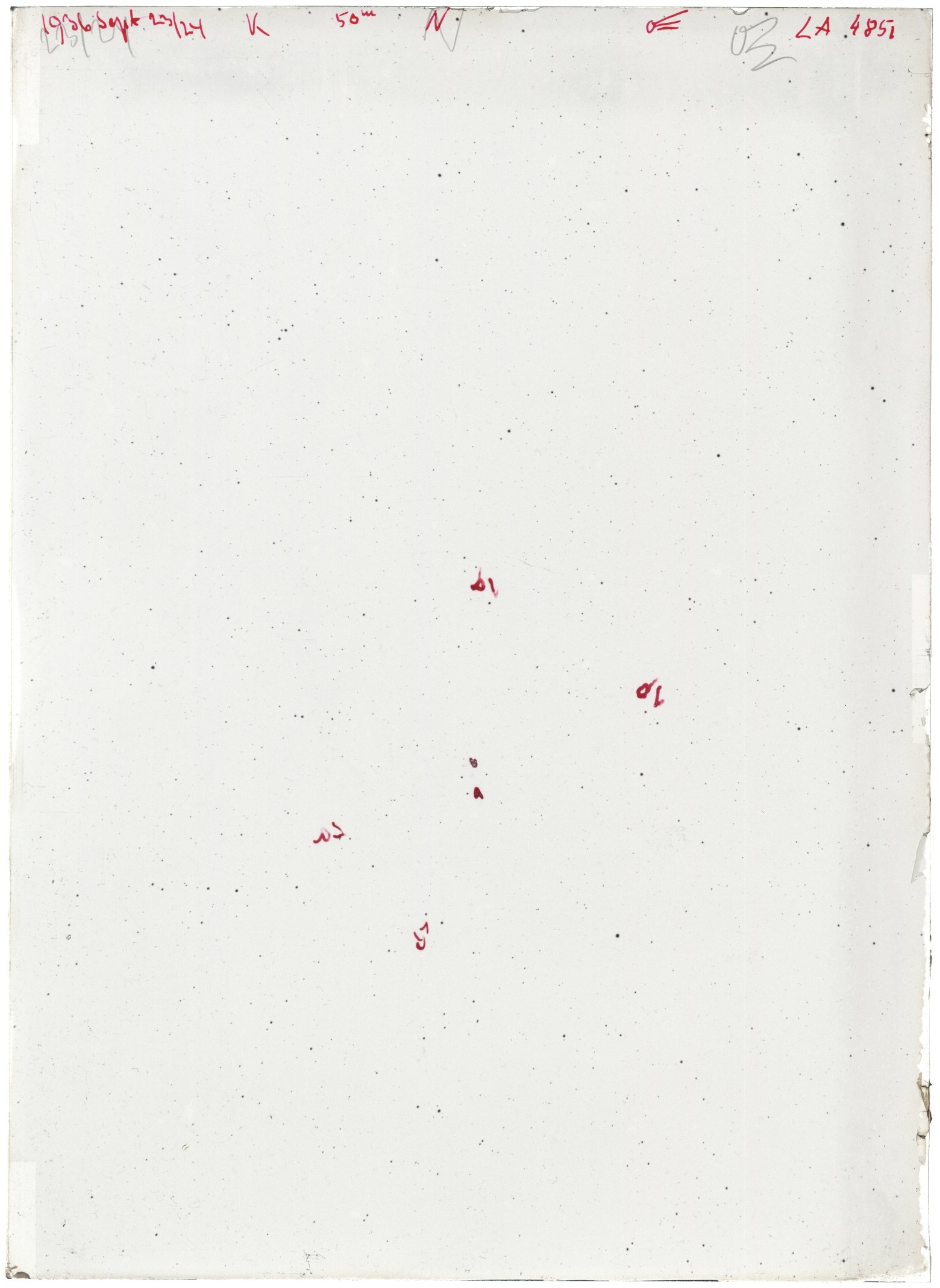 Scan LA04851
