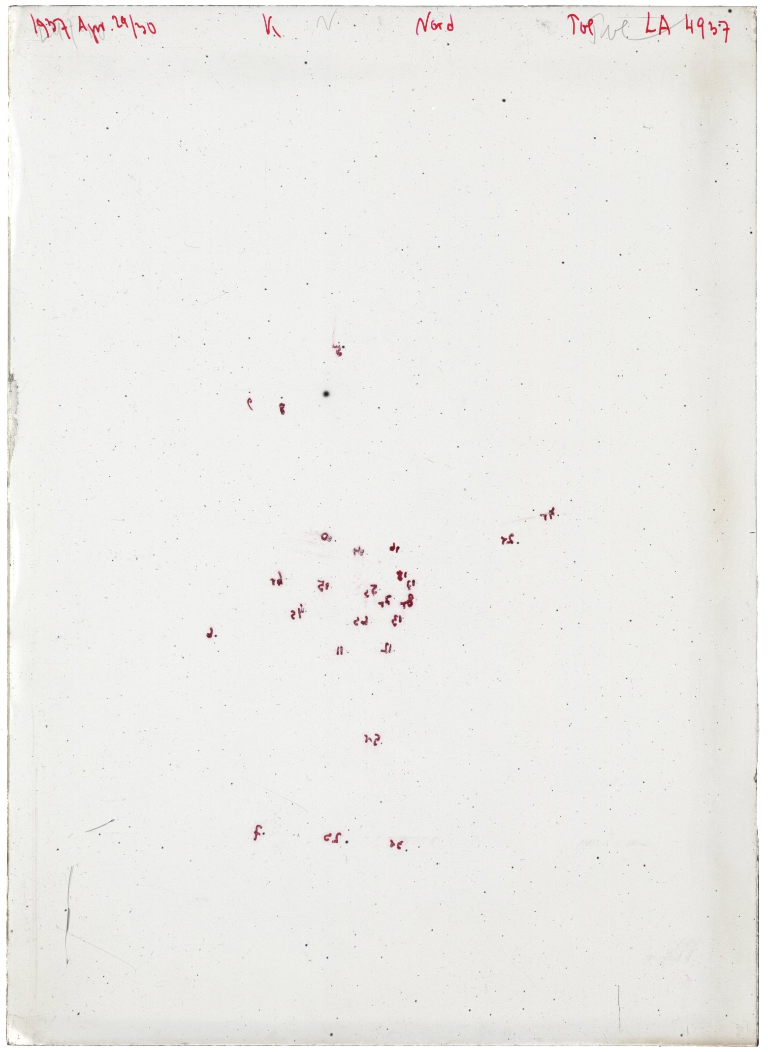Scan LA04937