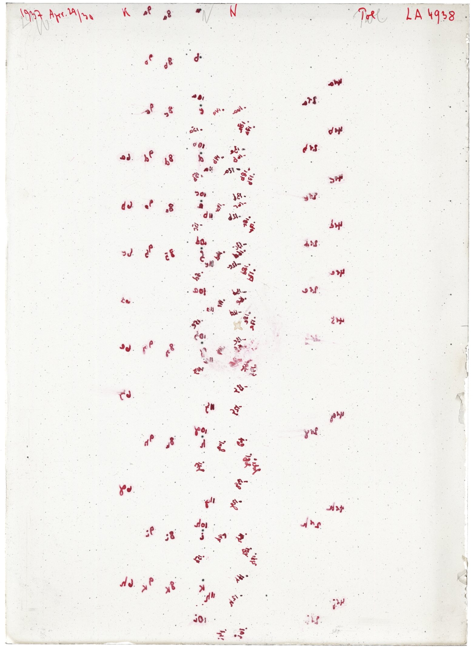 Scan LA04938