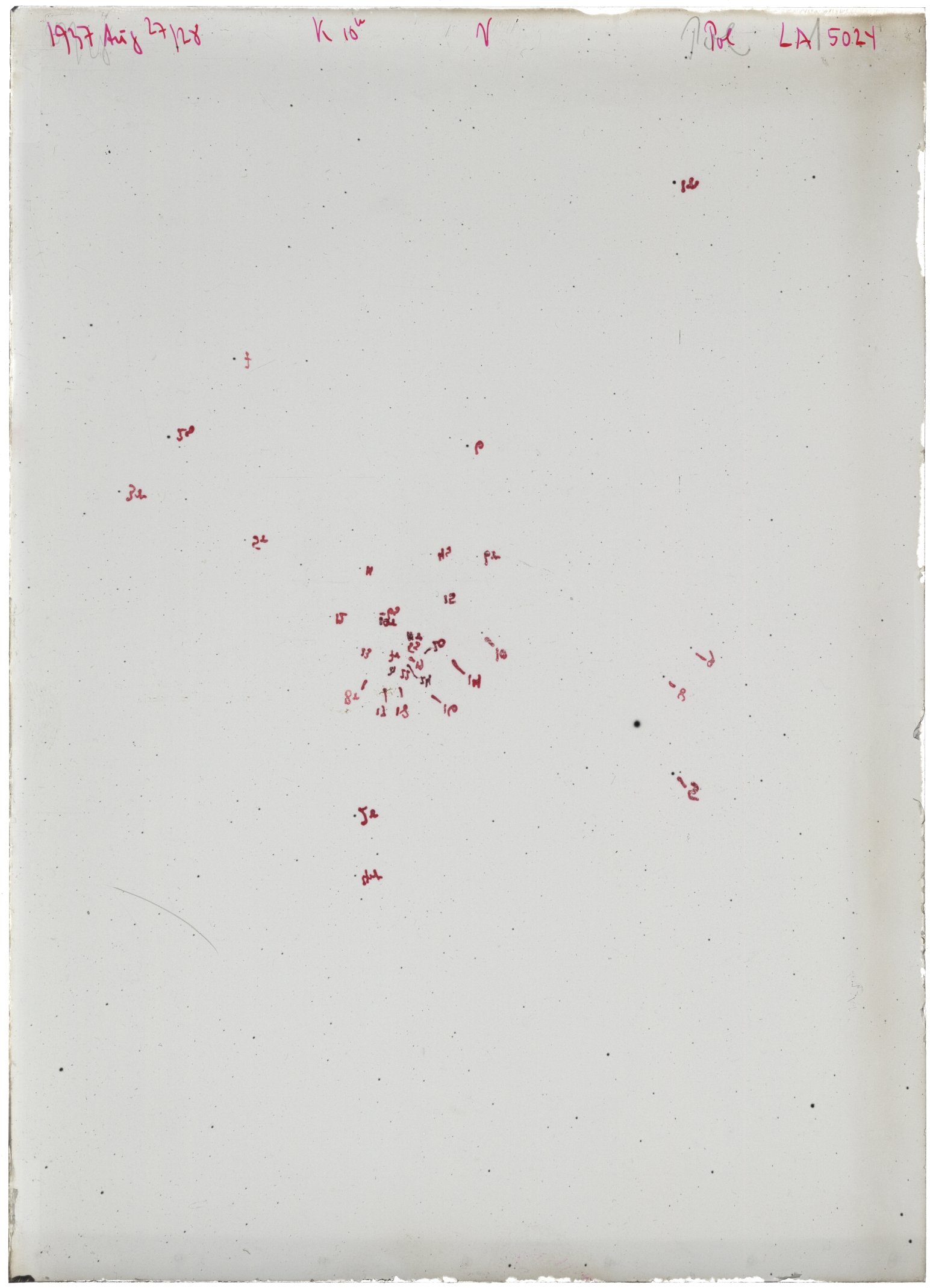 Scan LA05024