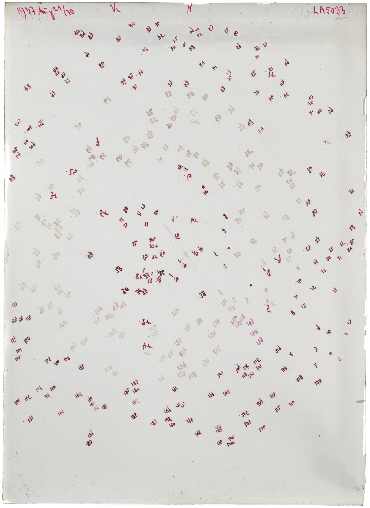 Scan LA05033