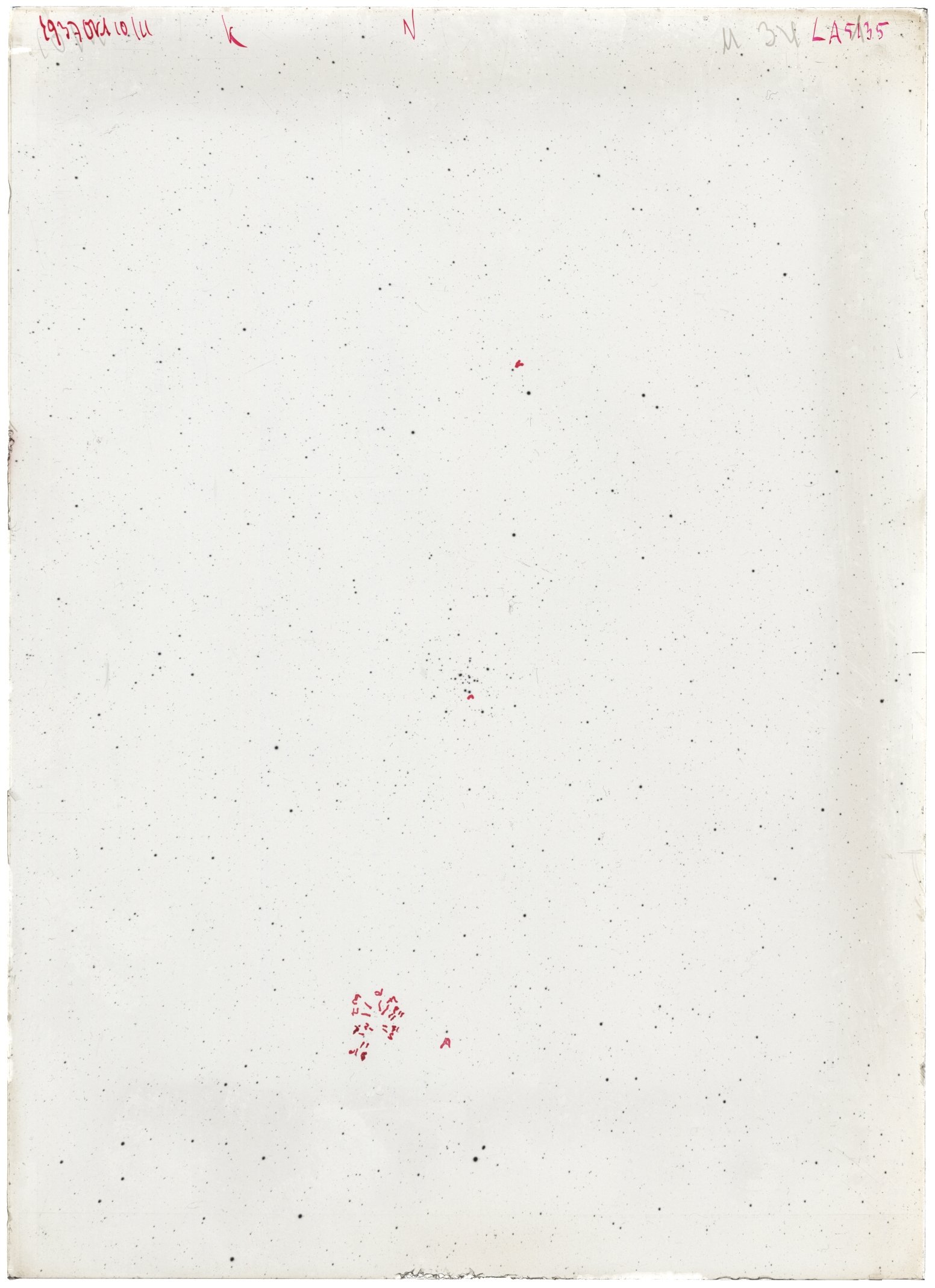 Scan LA05135