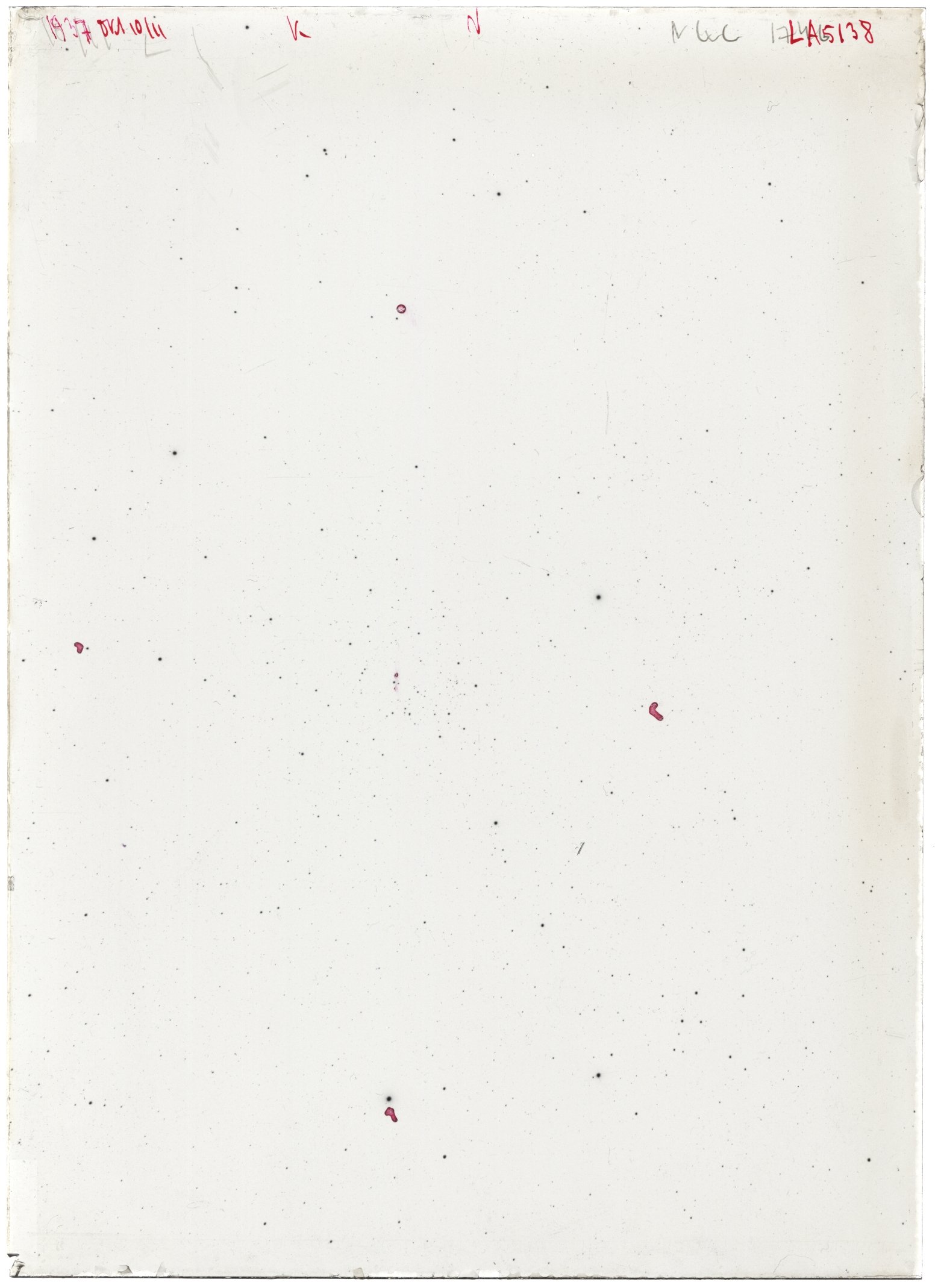 Scan LA05138