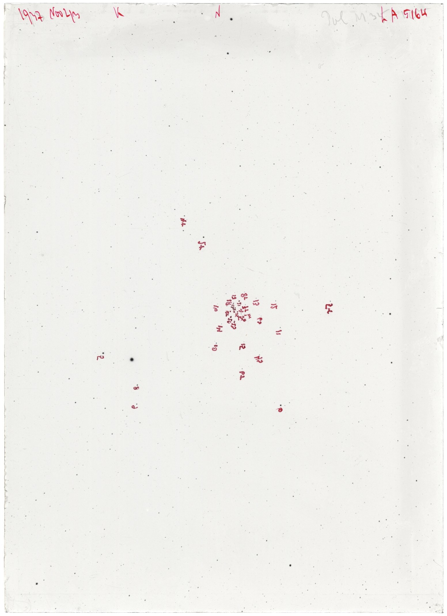 Scan LA05164