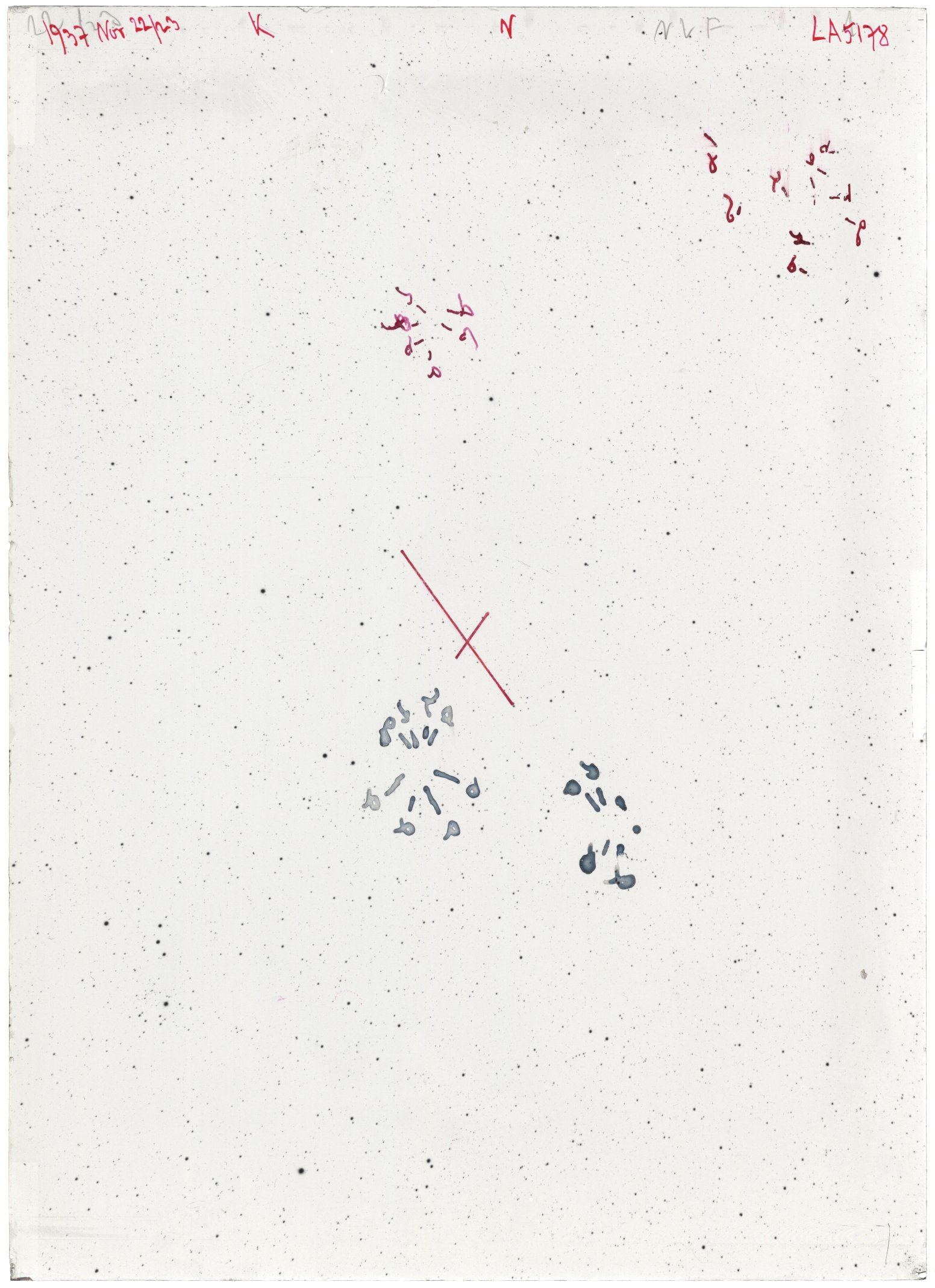 Scan LA05178