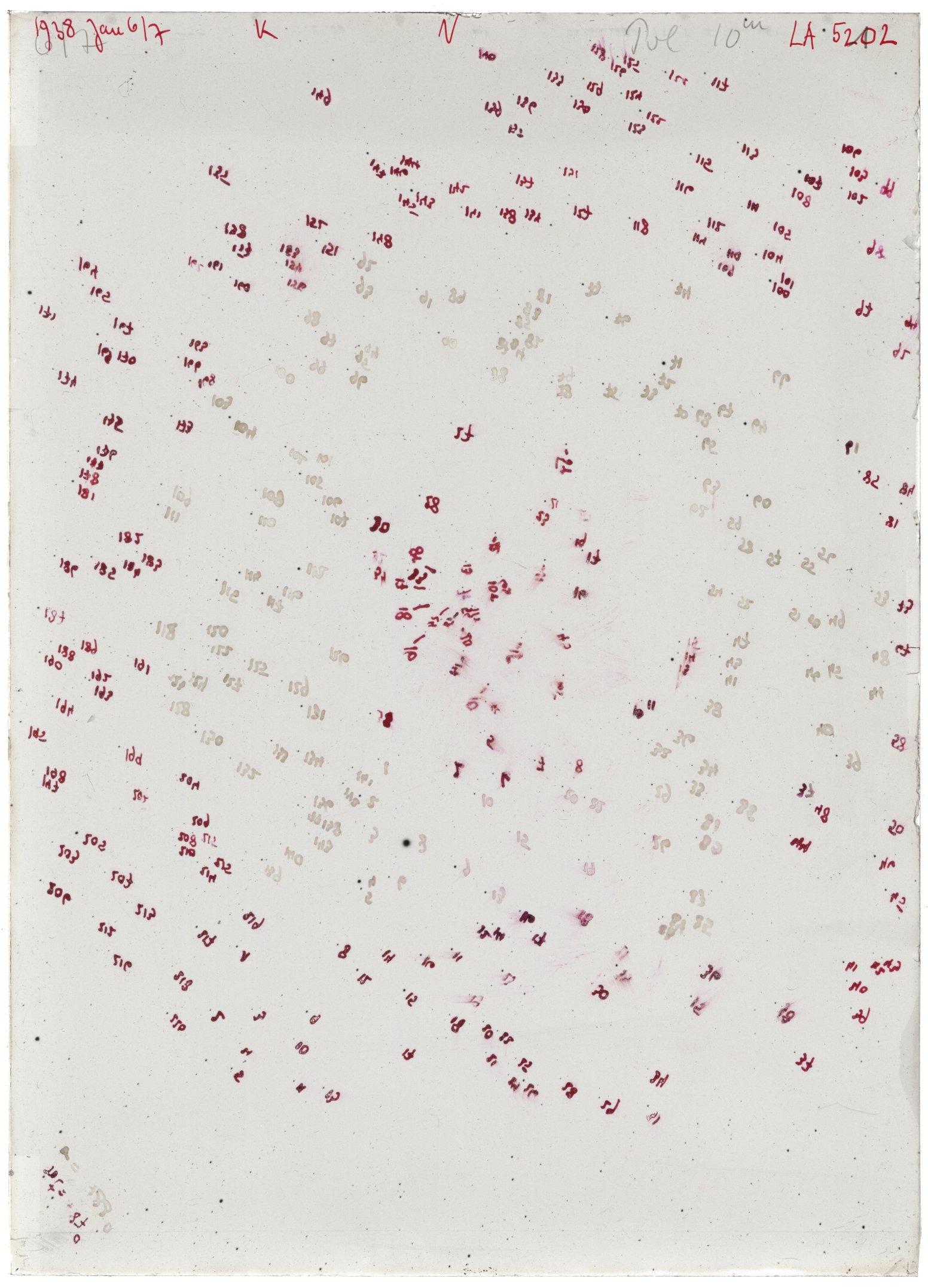 Scan LA05202