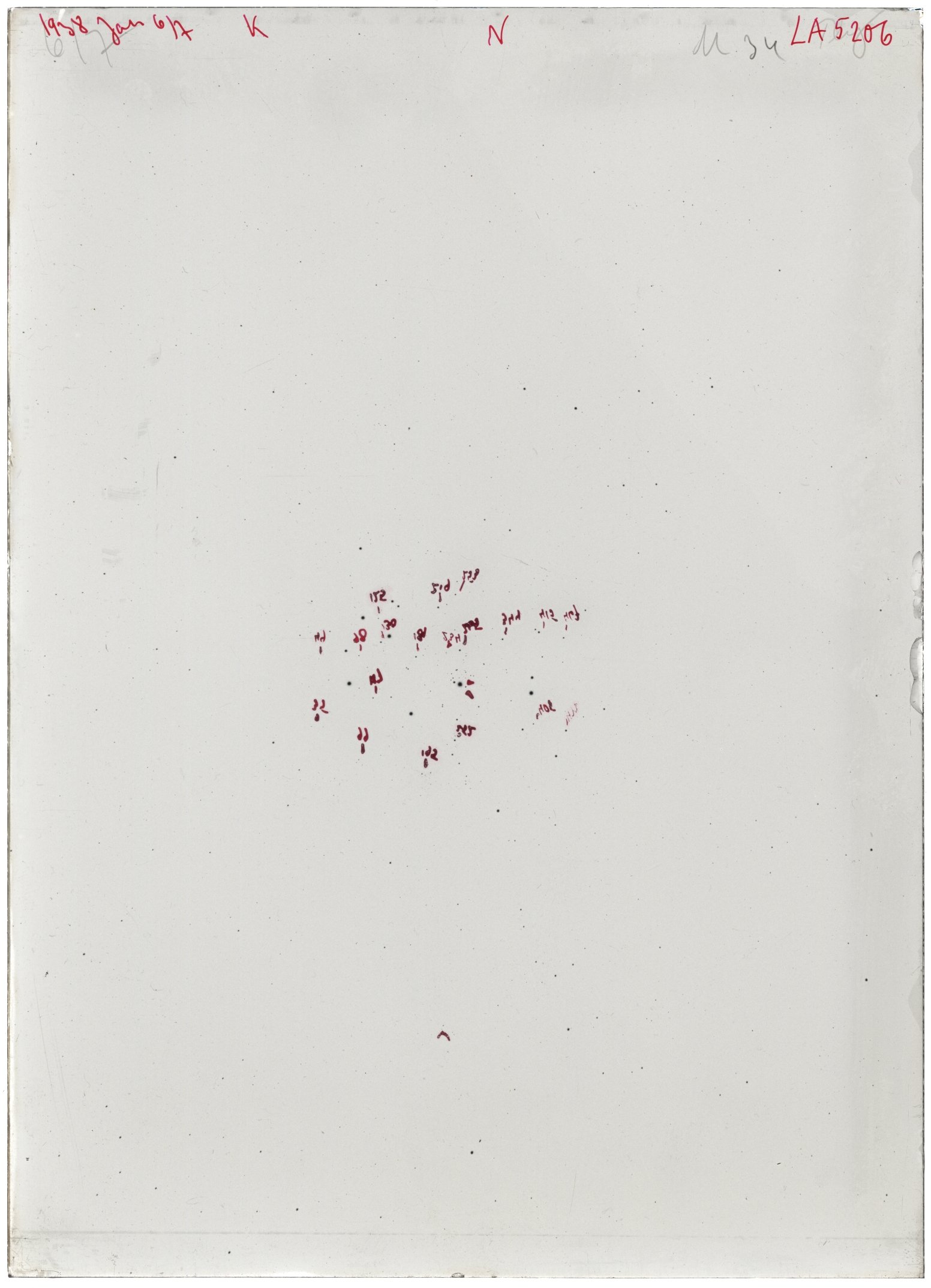 Scan LA05206
