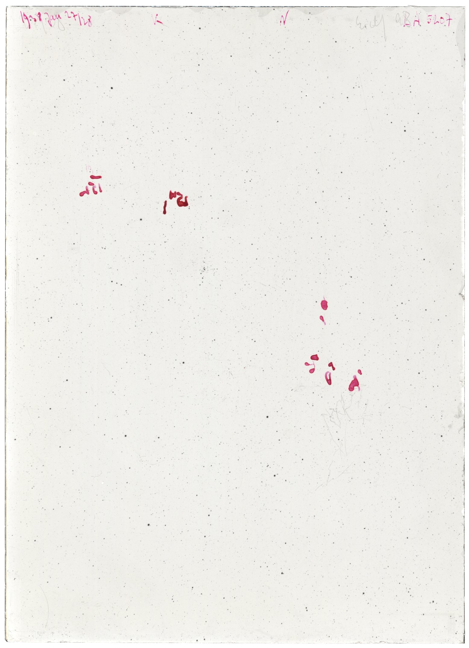 Scan LA05207