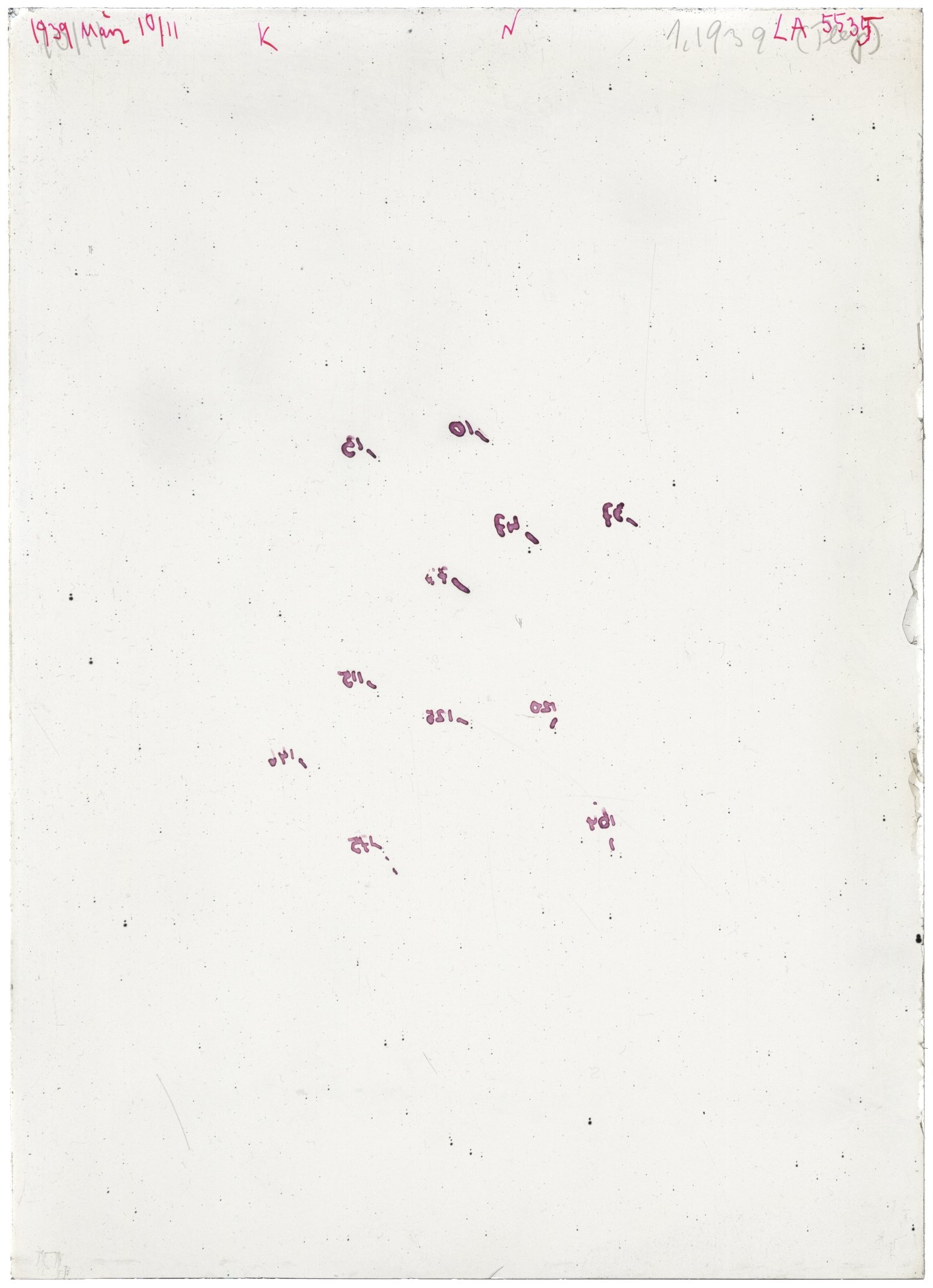 Scan LA05535