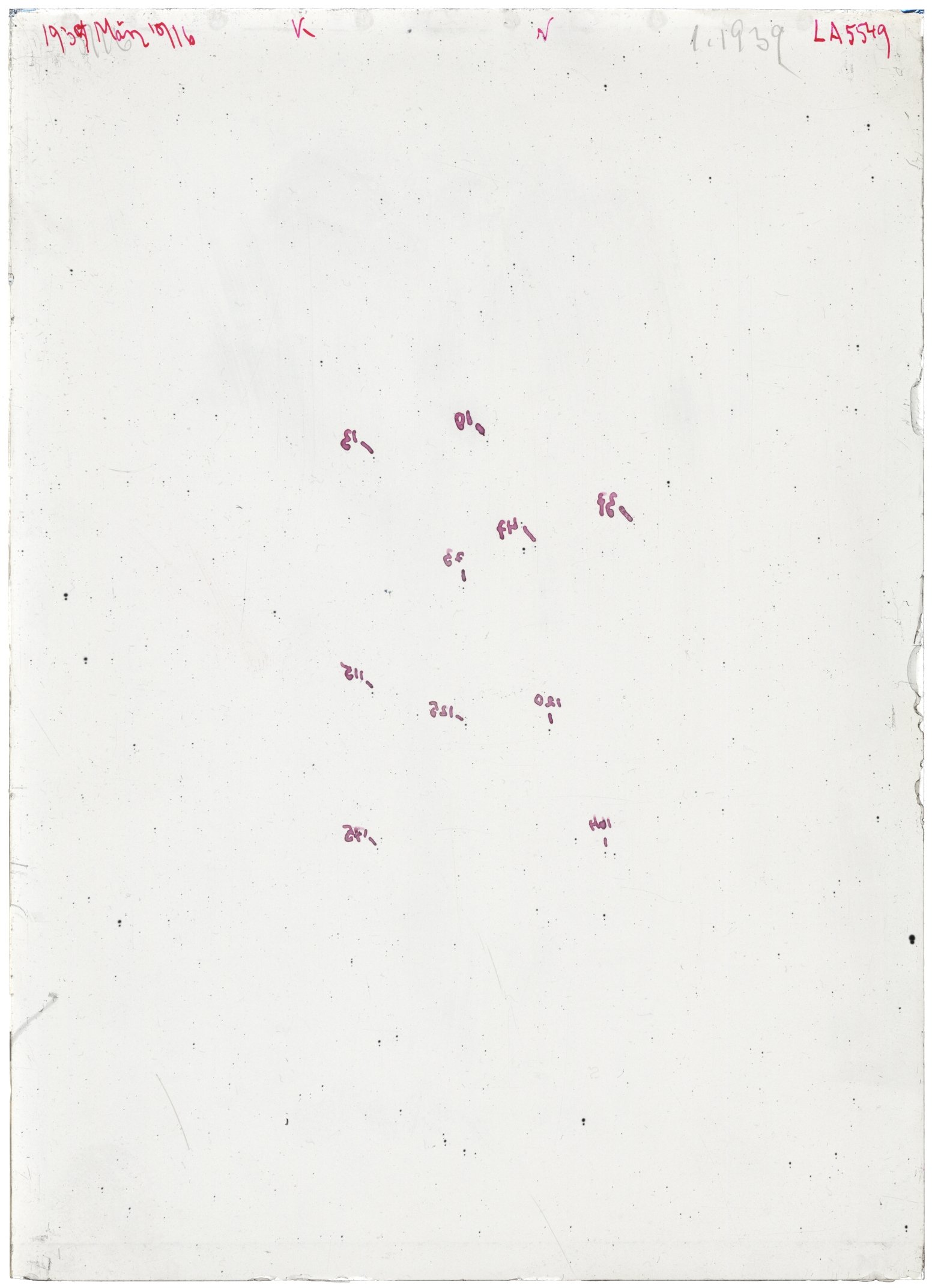 Scan LA05549