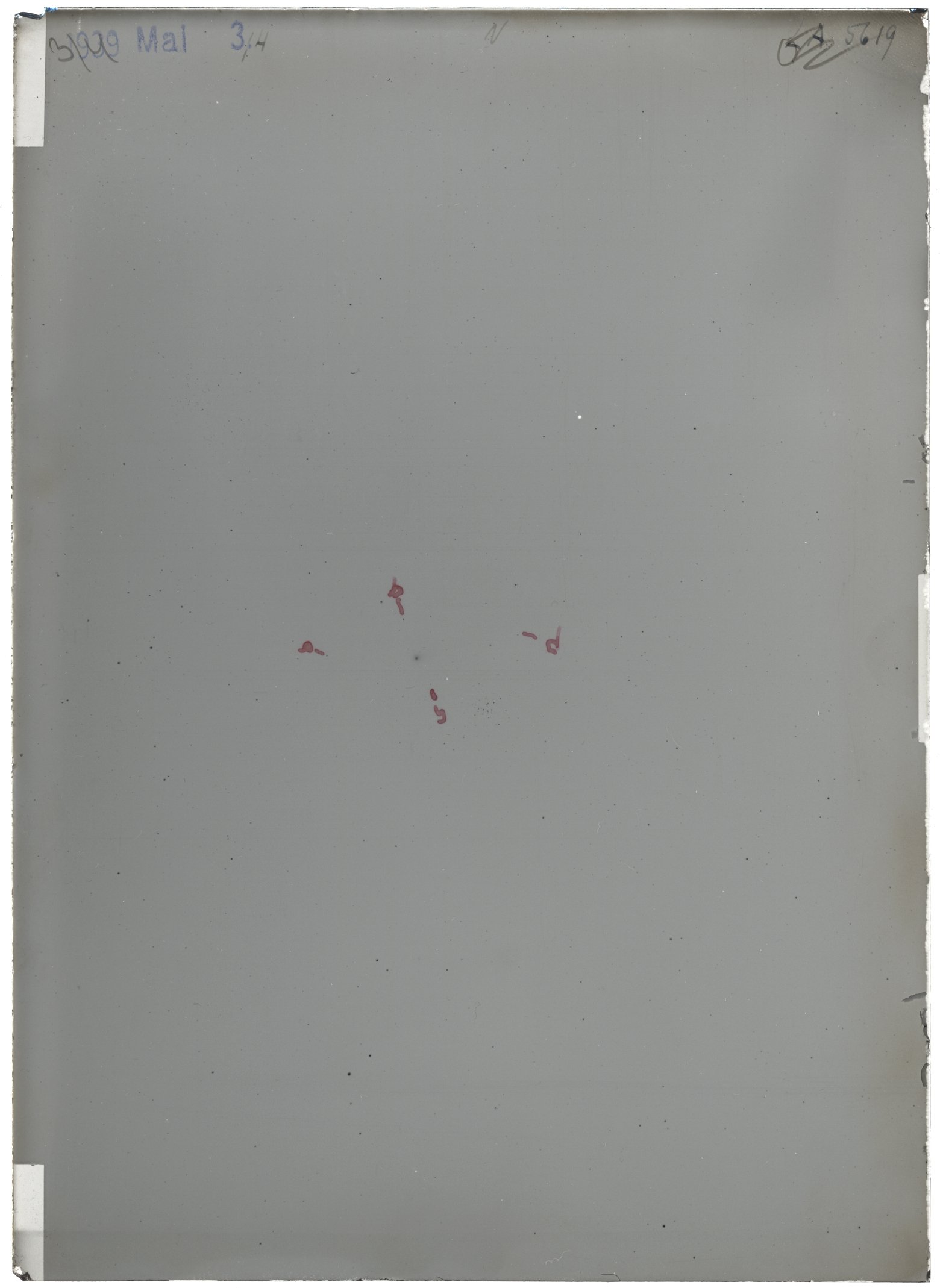 Scan LA05619