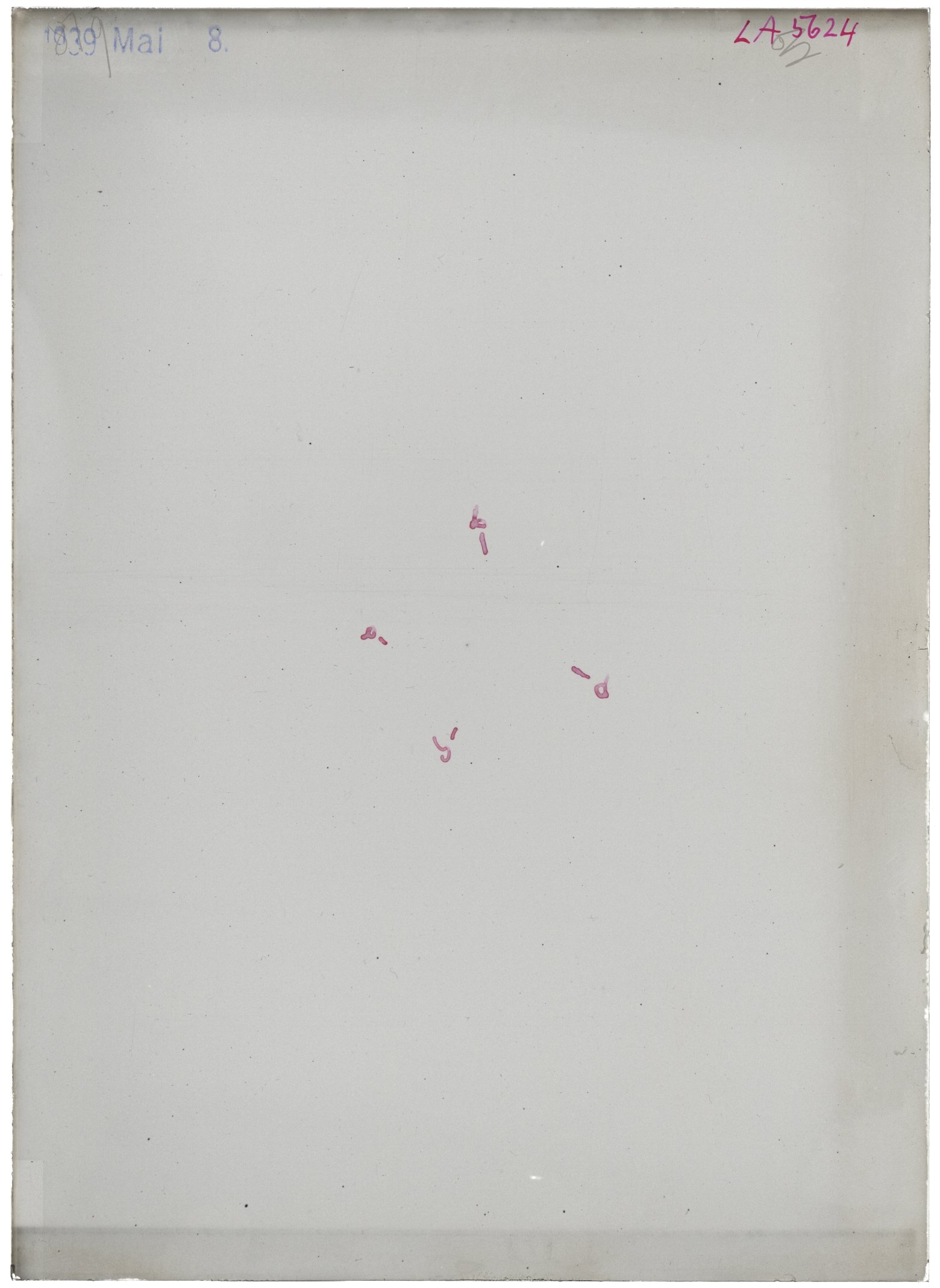 Scan LA05624