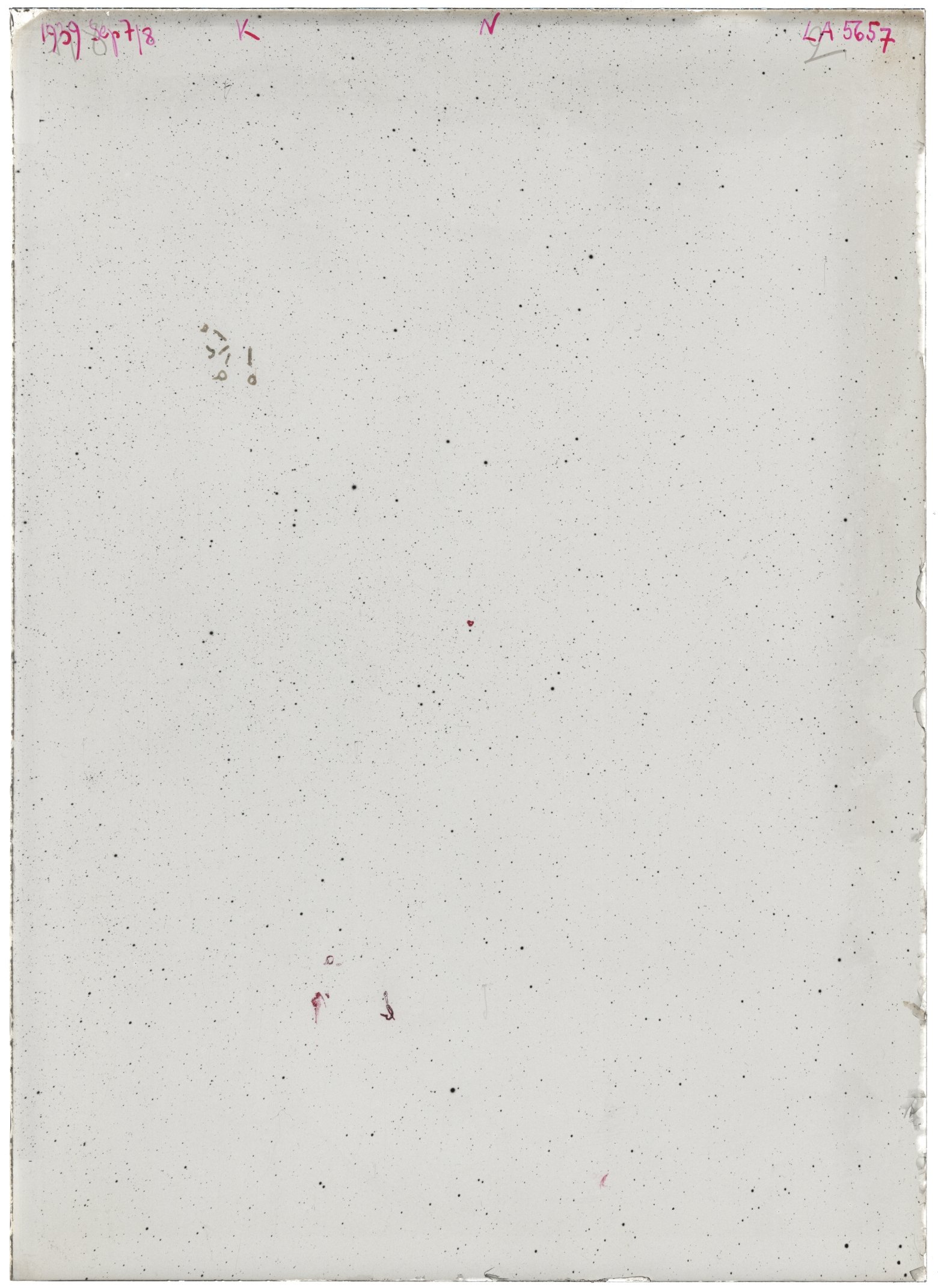 Scan LA05657