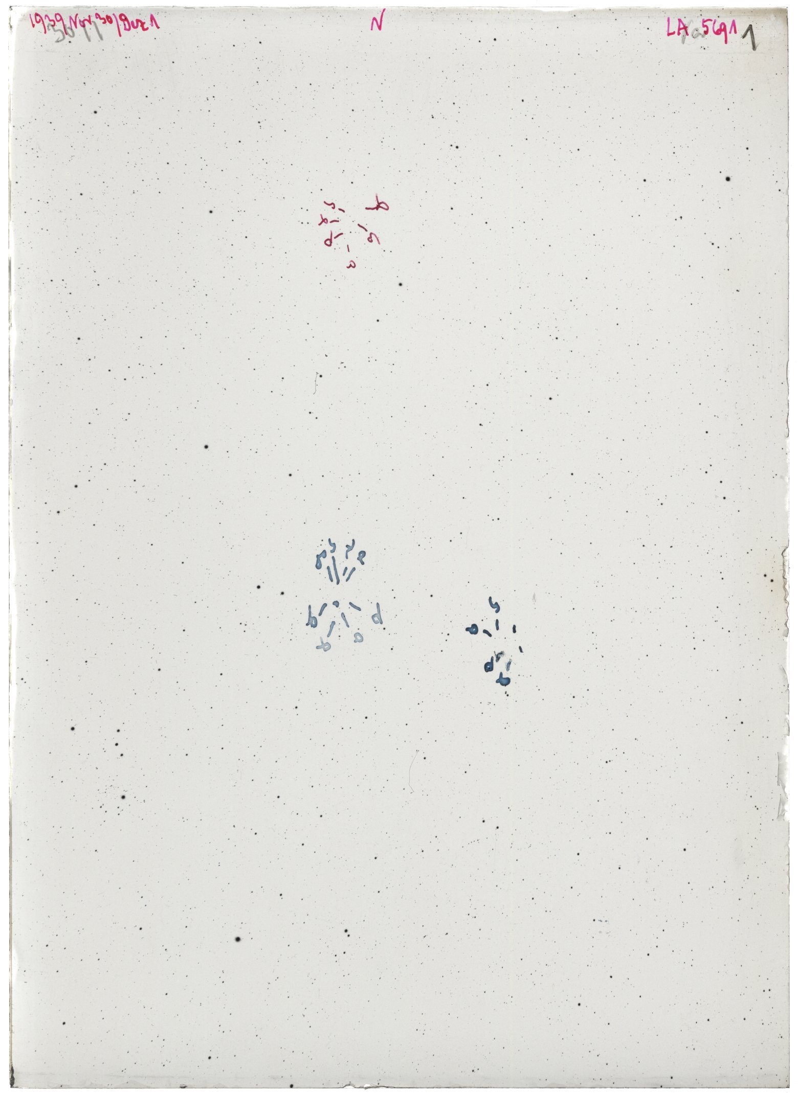 Scan LA05691