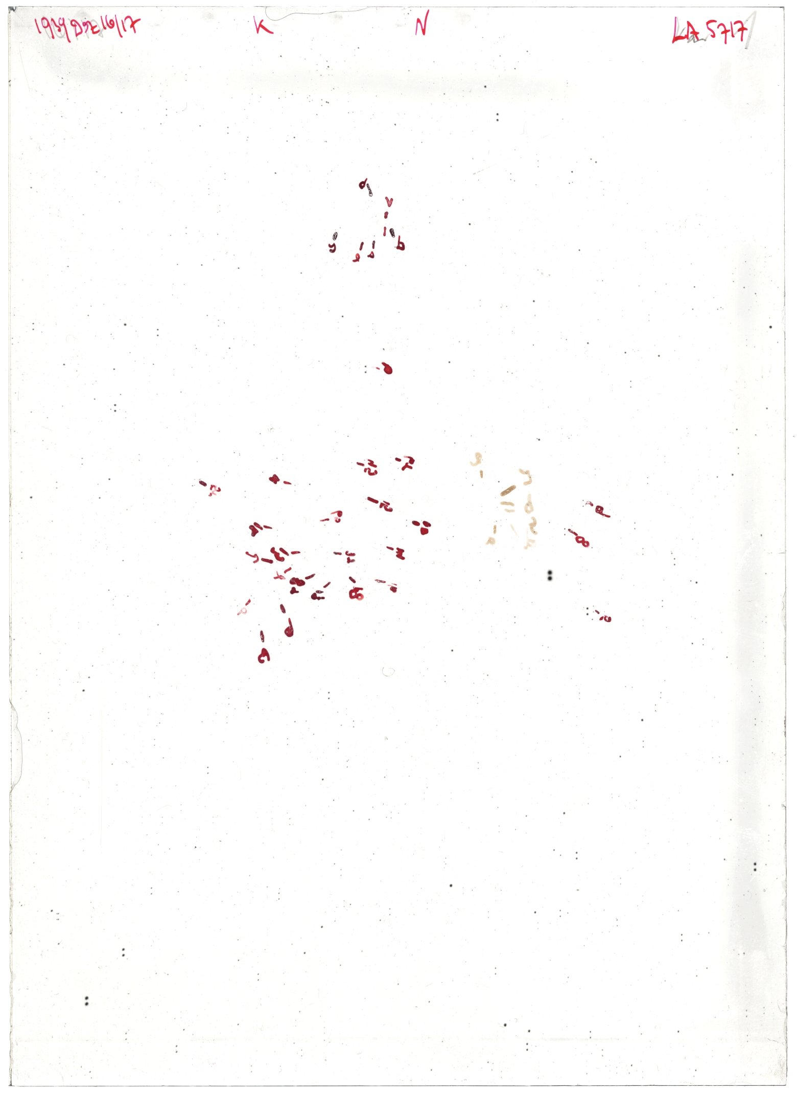 Scan LA05717