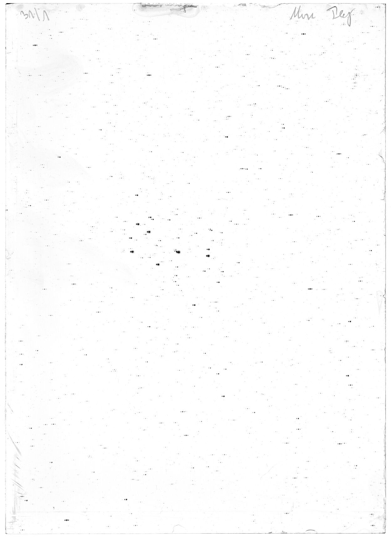 Scan LA05774
