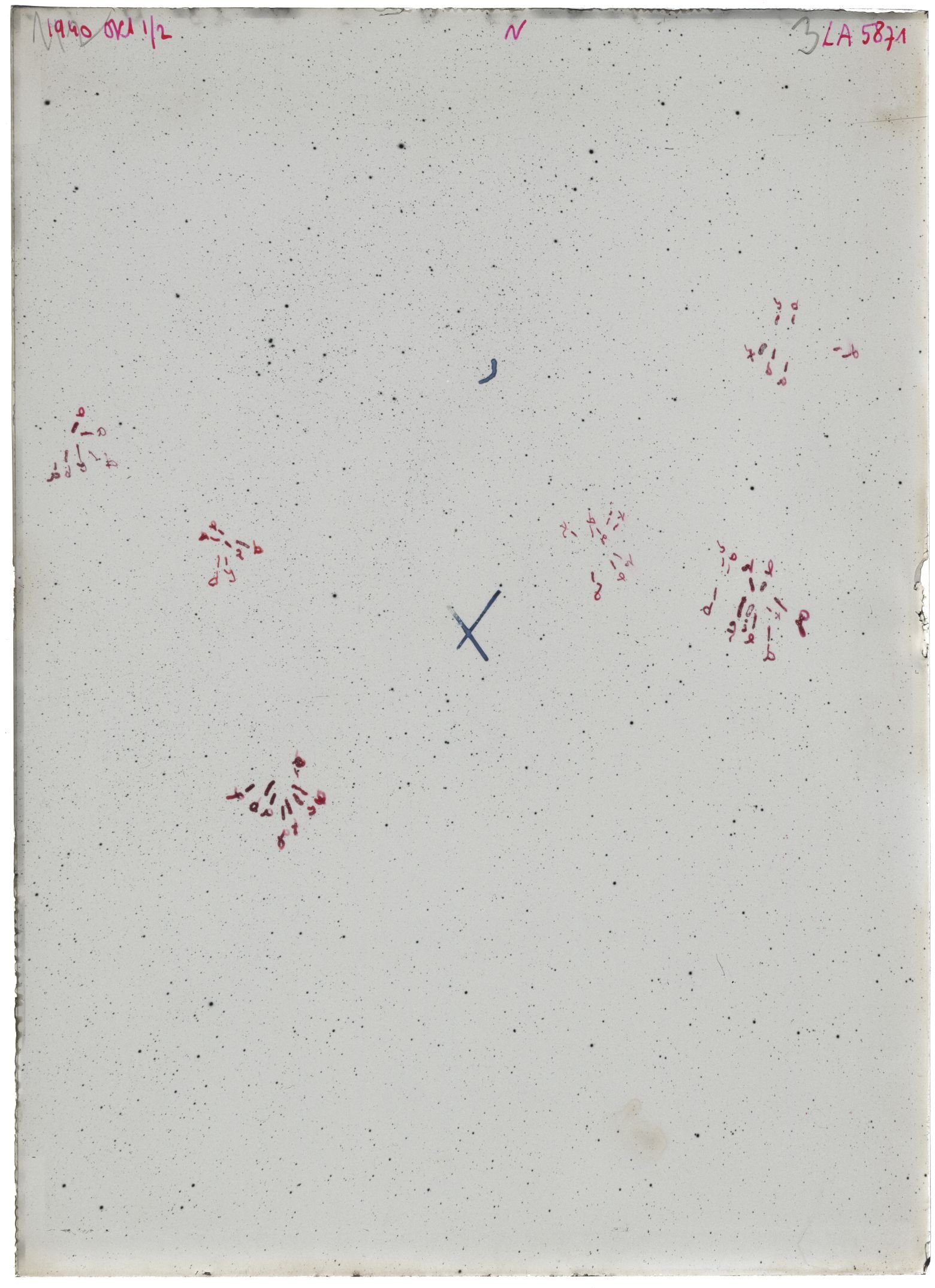 Scan LA05871