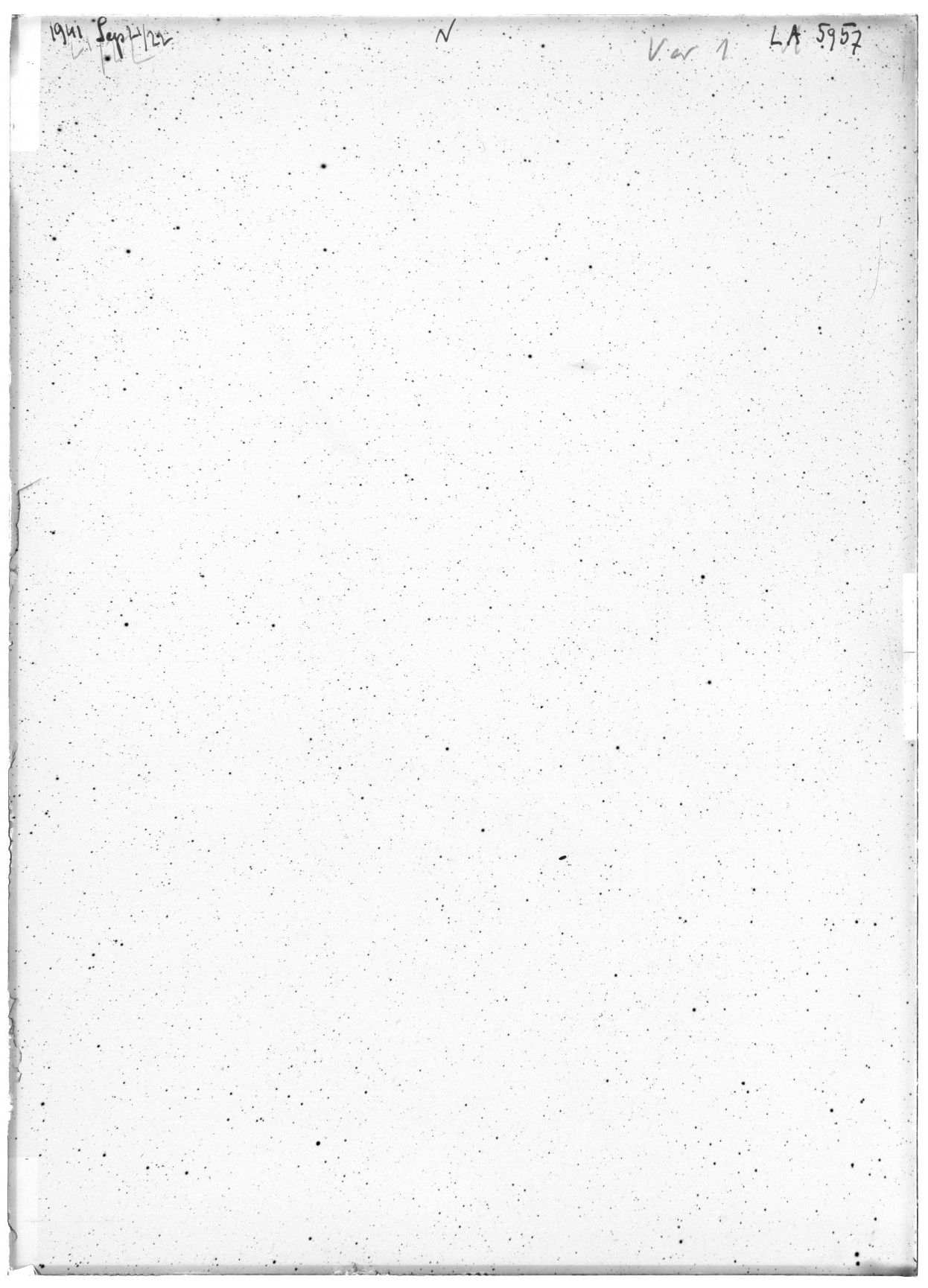 Scan LA05957