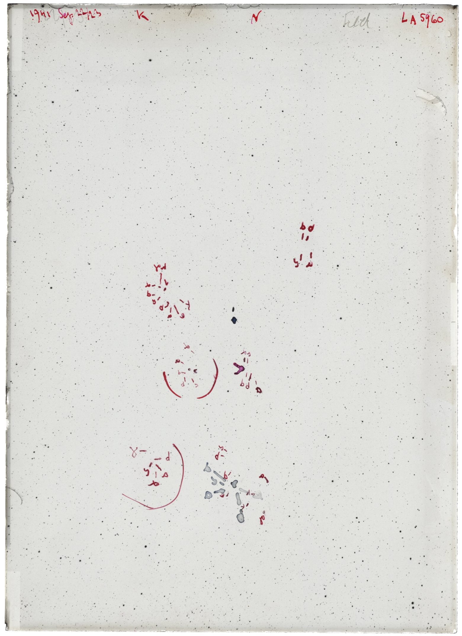 Scan LA05960