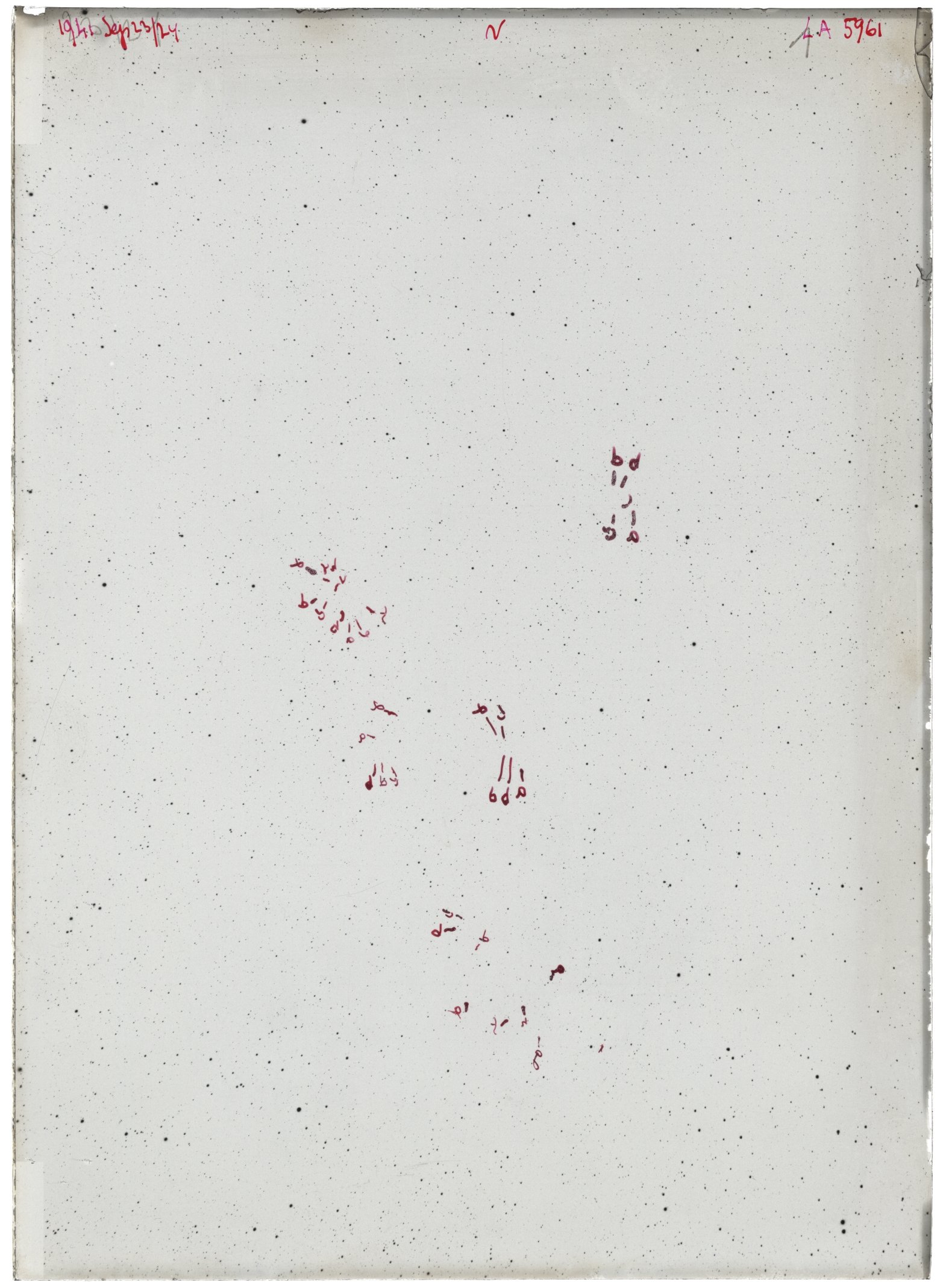 Scan LA05961