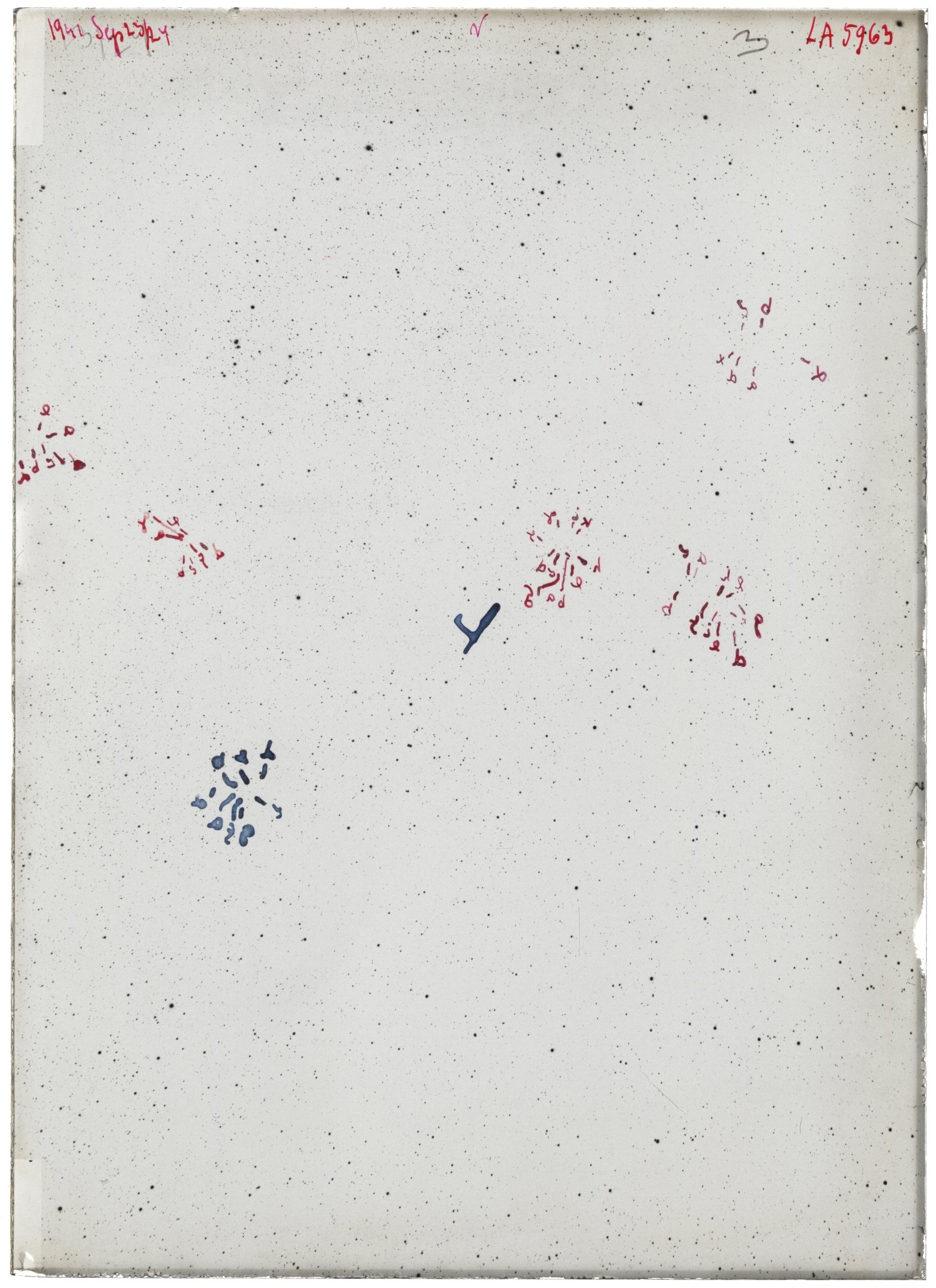 Scan LA05963