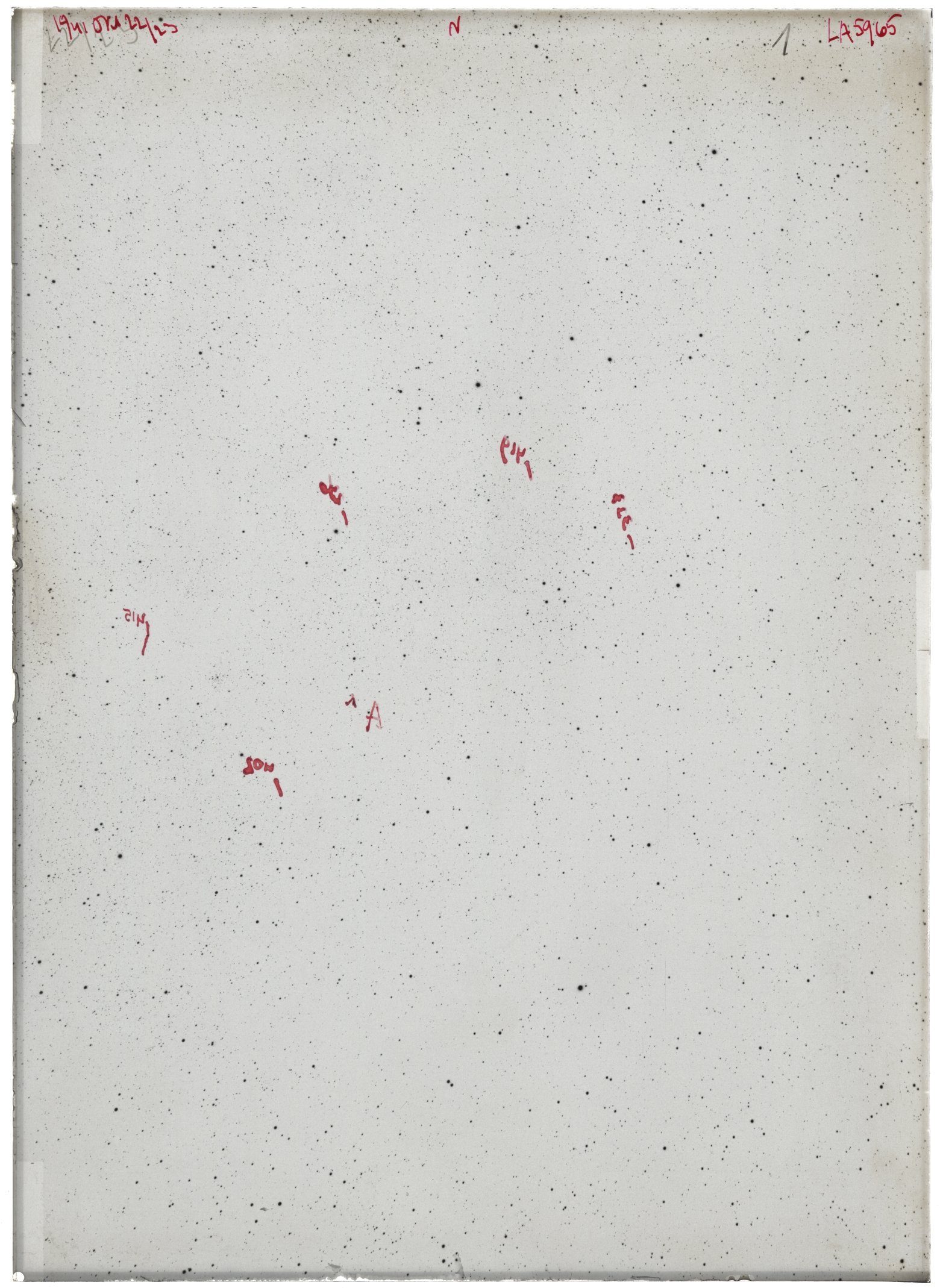 Scan LA05965