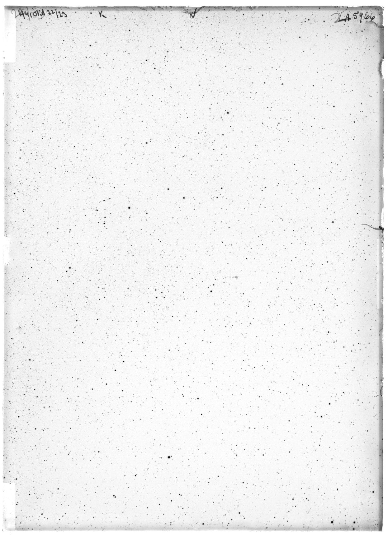 Scan LA05966